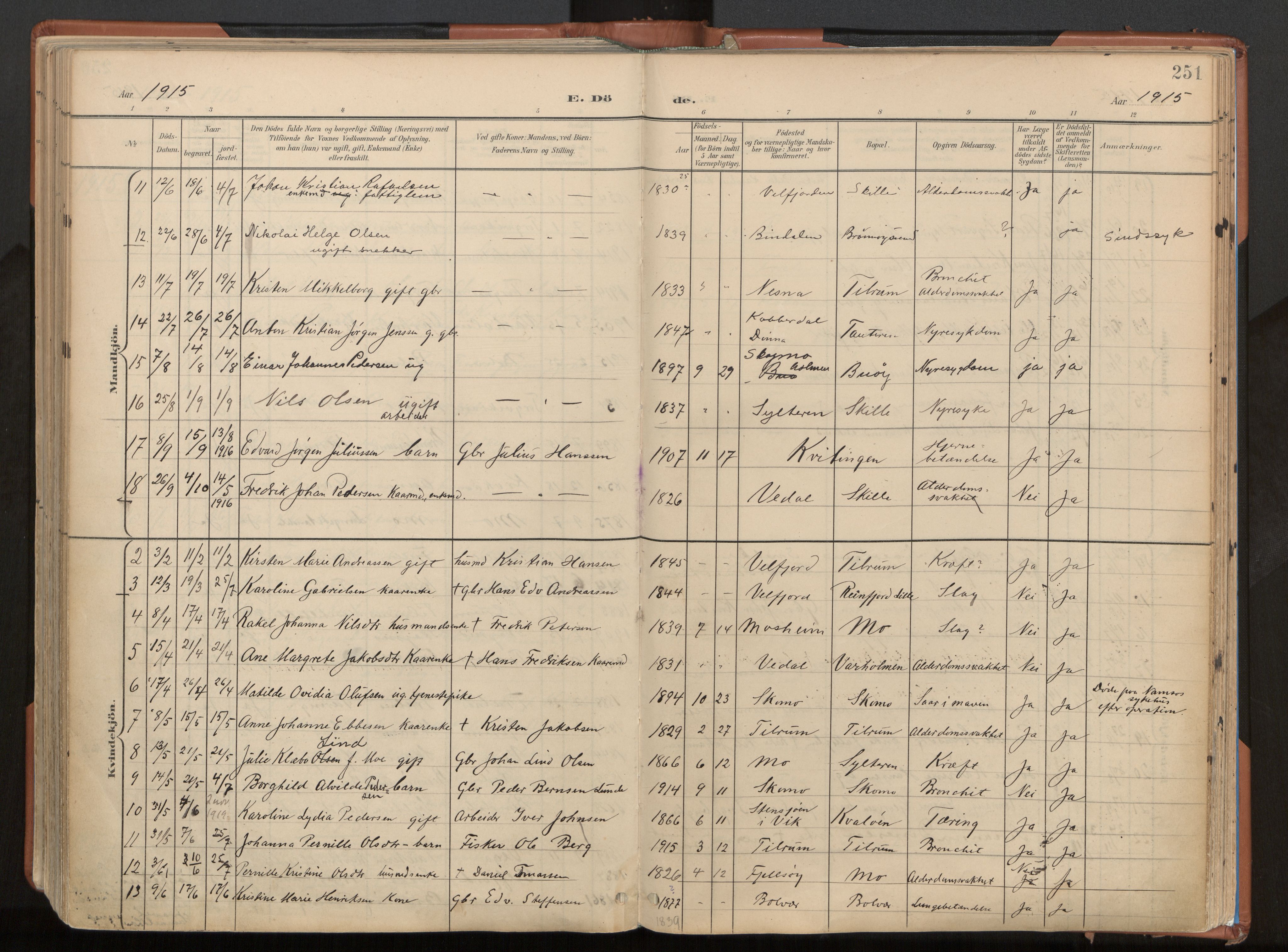Ministerialprotokoller, klokkerbøker og fødselsregistre - Nordland, SAT/A-1459/813/L0201: Parish register (official) no. 813A11, 1901-1918, p. 251
