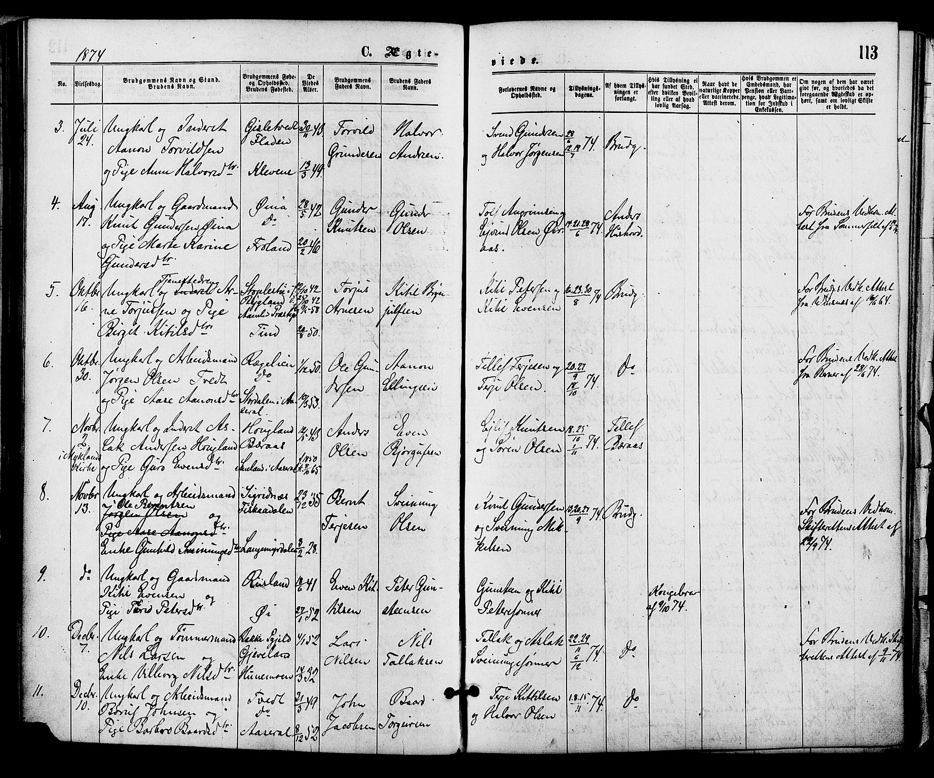 Åmli sokneprestkontor, AV/SAK-1111-0050/F/Fa/Fac/L0009: Parish register (official) no. A 9 /1, 1869-1884, p. 113