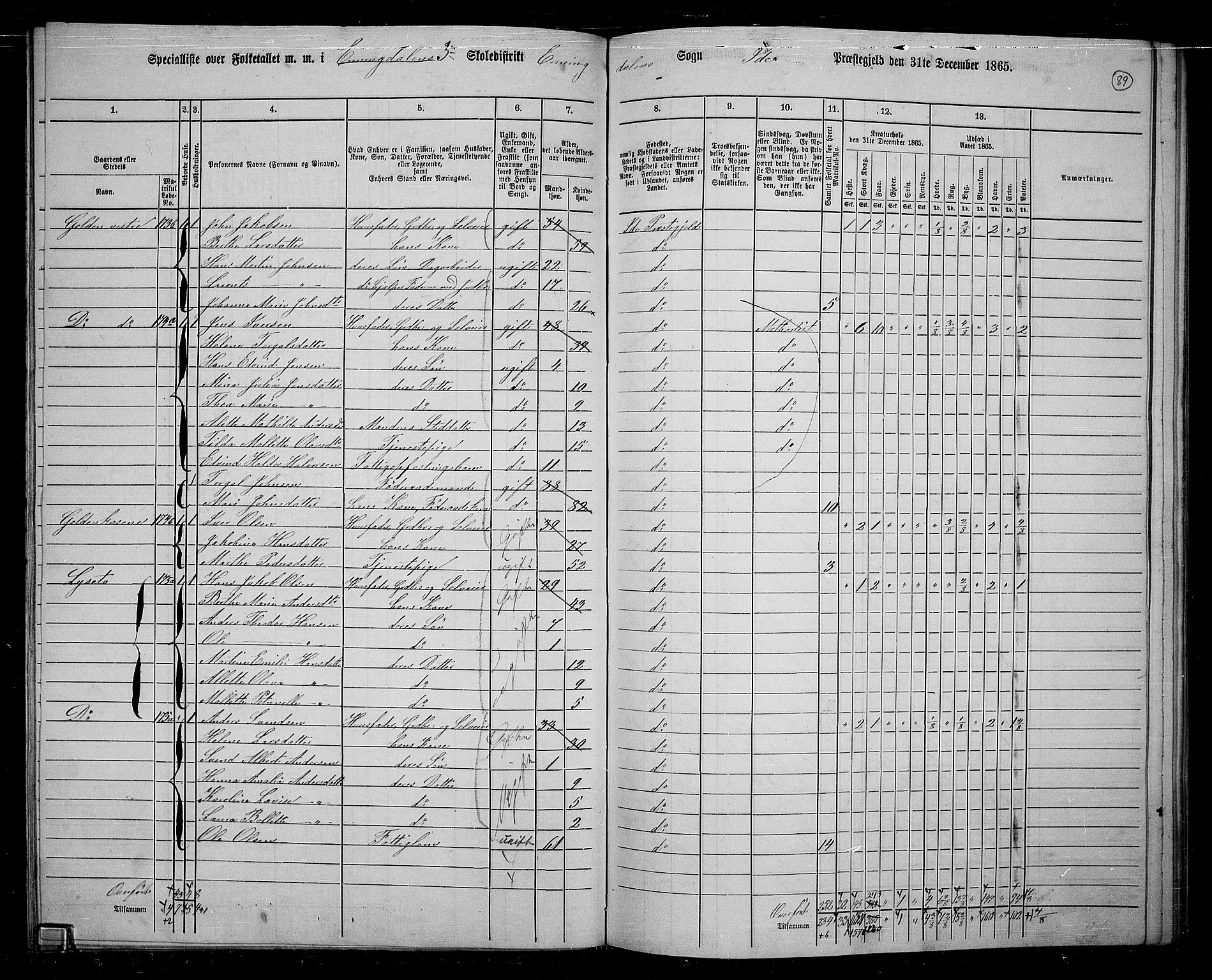 RA, 1865 census for Idd, 1865, p. 78