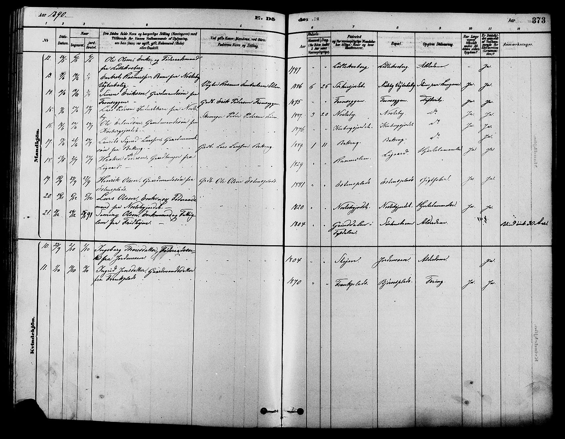 Alvdal prestekontor, AV/SAH-PREST-060/H/Ha/Hab/L0003: Parish register (copy) no. 3, 1878-1907, p. 373