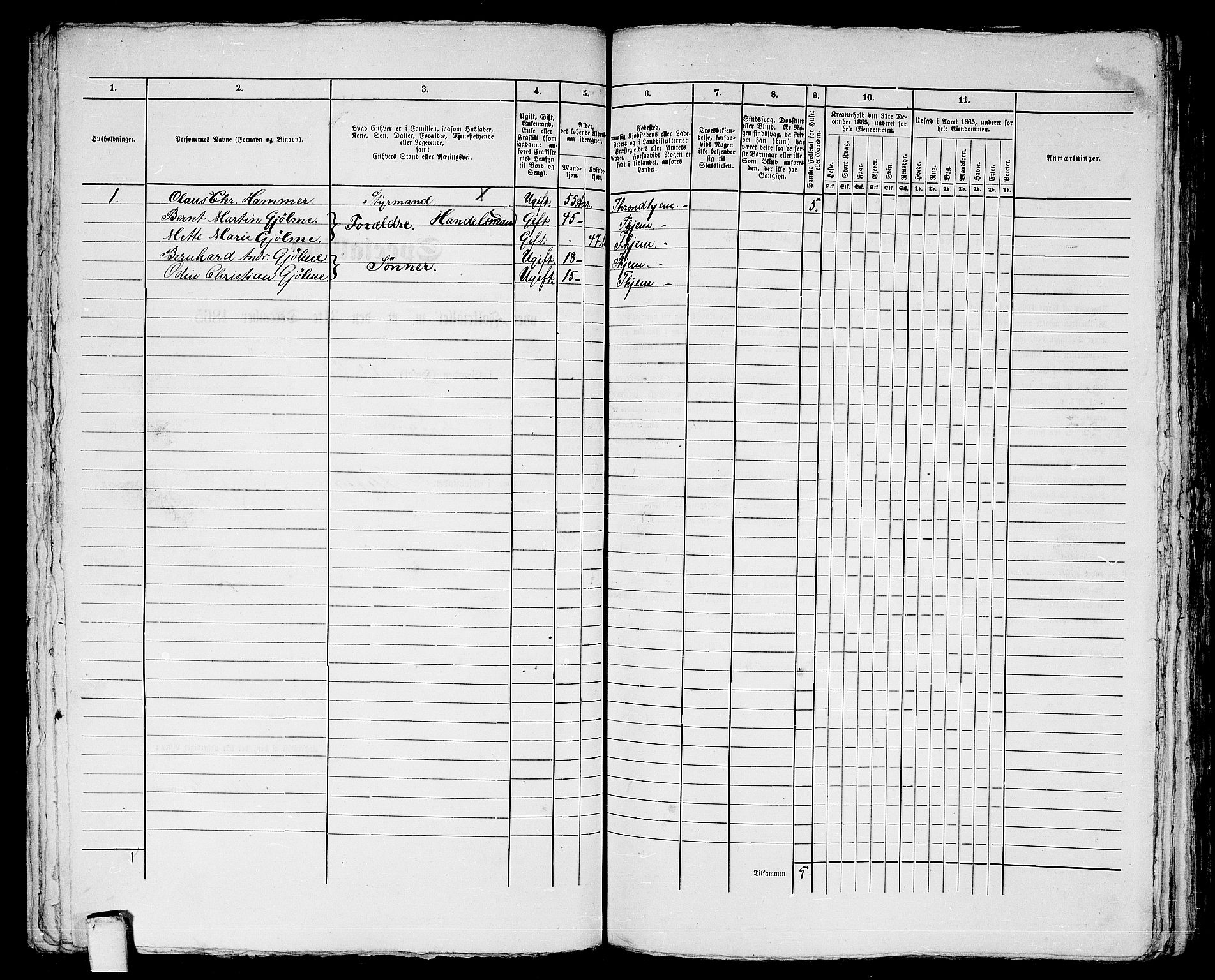 RA, 1865 census for Trondheim, 1865, p. 732