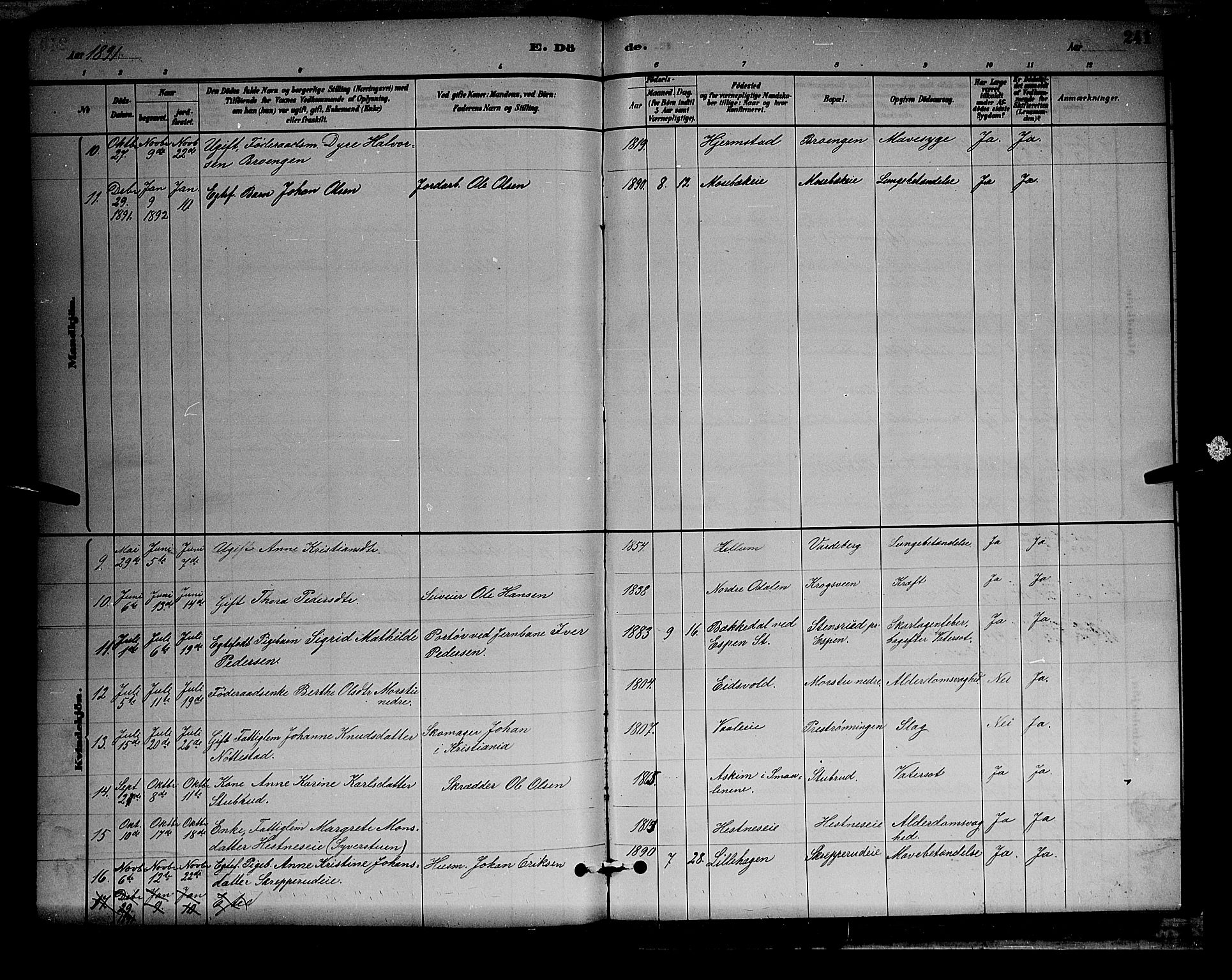 Stange prestekontor, AV/SAH-PREST-002/L/L0008: Parish register (copy) no. 8, 1882-1895, p. 241