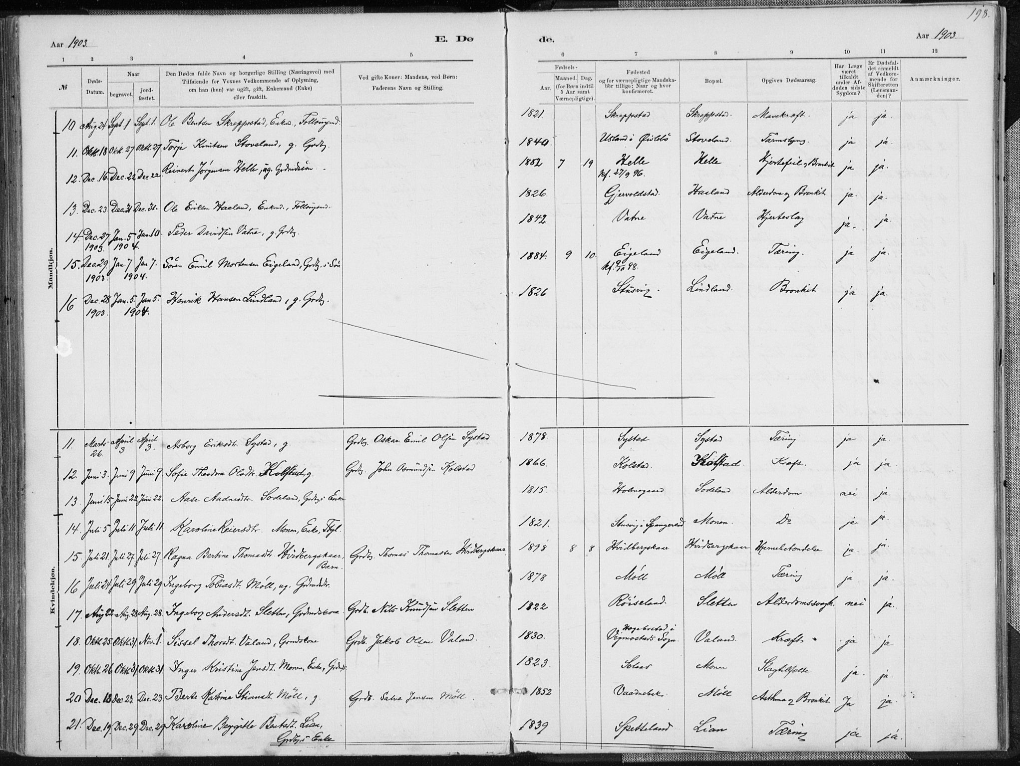 Holum sokneprestkontor, SAK/1111-0022/F/Fa/Faa/L0007: Parish register (official) no. A 7, 1884-1907, p. 198