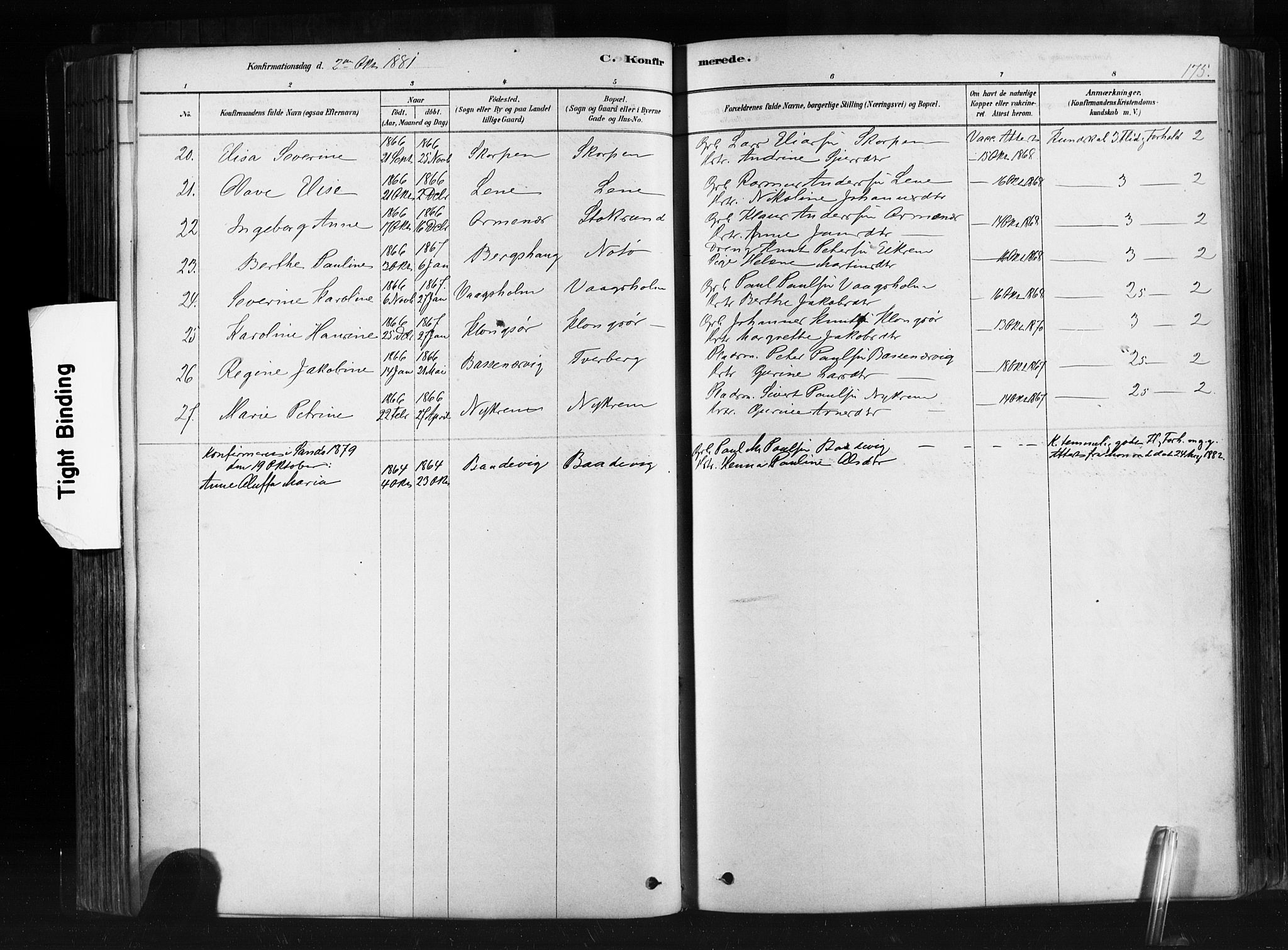 Ministerialprotokoller, klokkerbøker og fødselsregistre - Møre og Romsdal, SAT/A-1454/507/L0073: Parish register (official) no. 507A08, 1878-1904, p. 175