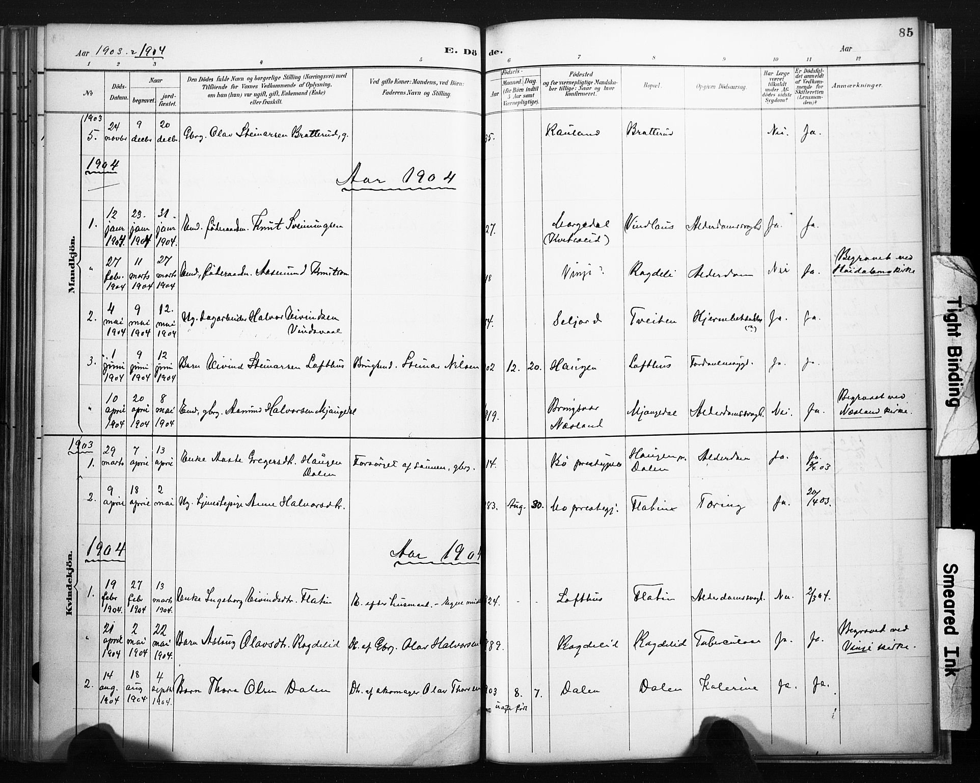 Lårdal kirkebøker, SAKO/A-284/F/Fb/L0002: Parish register (official) no. II 2, 1887-1918, p. 85