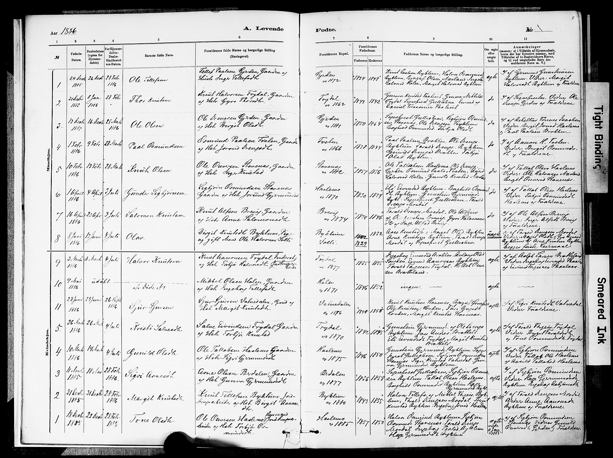 Valle sokneprestkontor, SAK/1111-0044/F/Fa/Faa/L0001: Parish register (official) no. A 1, 1882-1907, p. 8