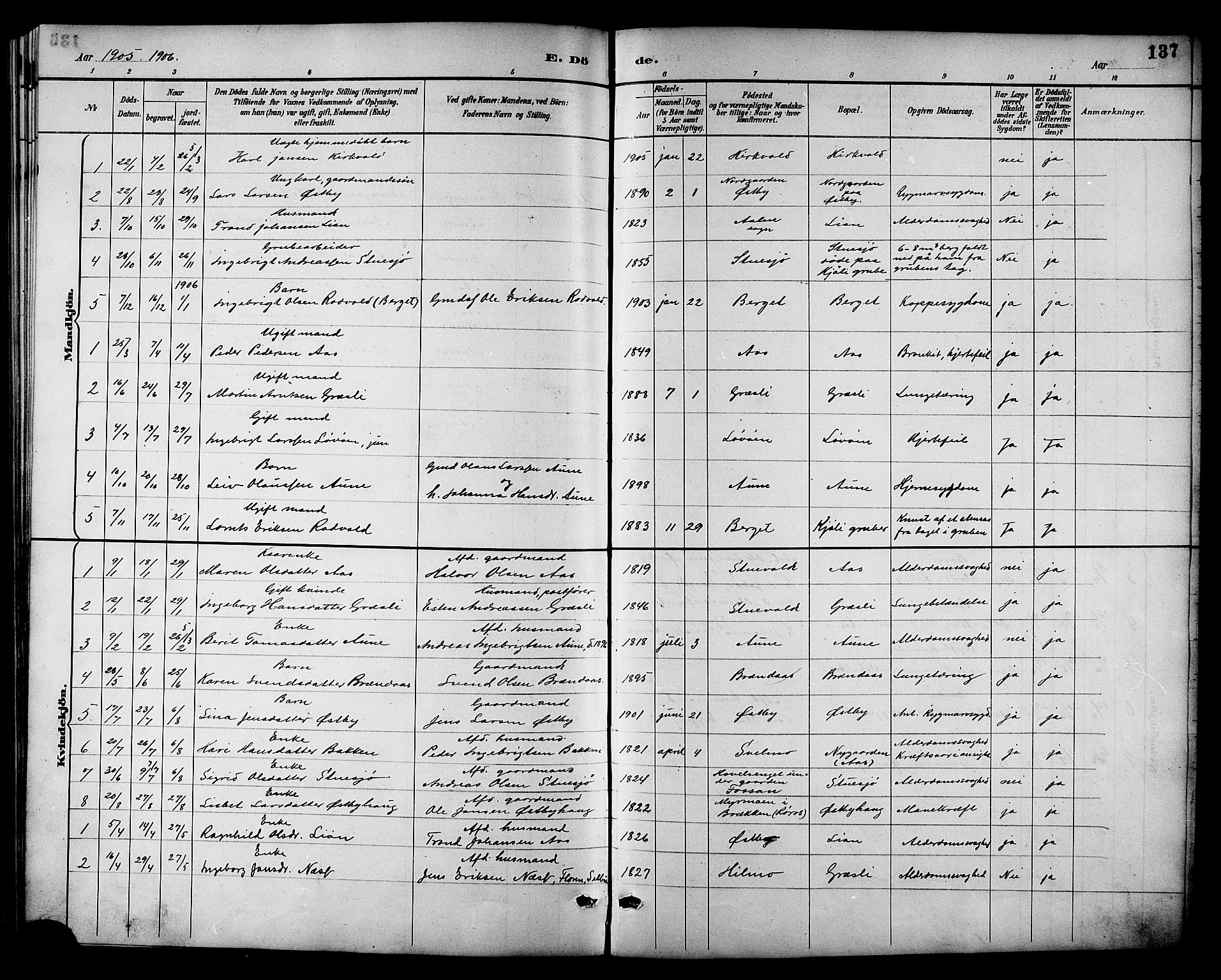 Ministerialprotokoller, klokkerbøker og fødselsregistre - Sør-Trøndelag, SAT/A-1456/698/L1167: Parish register (copy) no. 698C04, 1888-1907, p. 137
