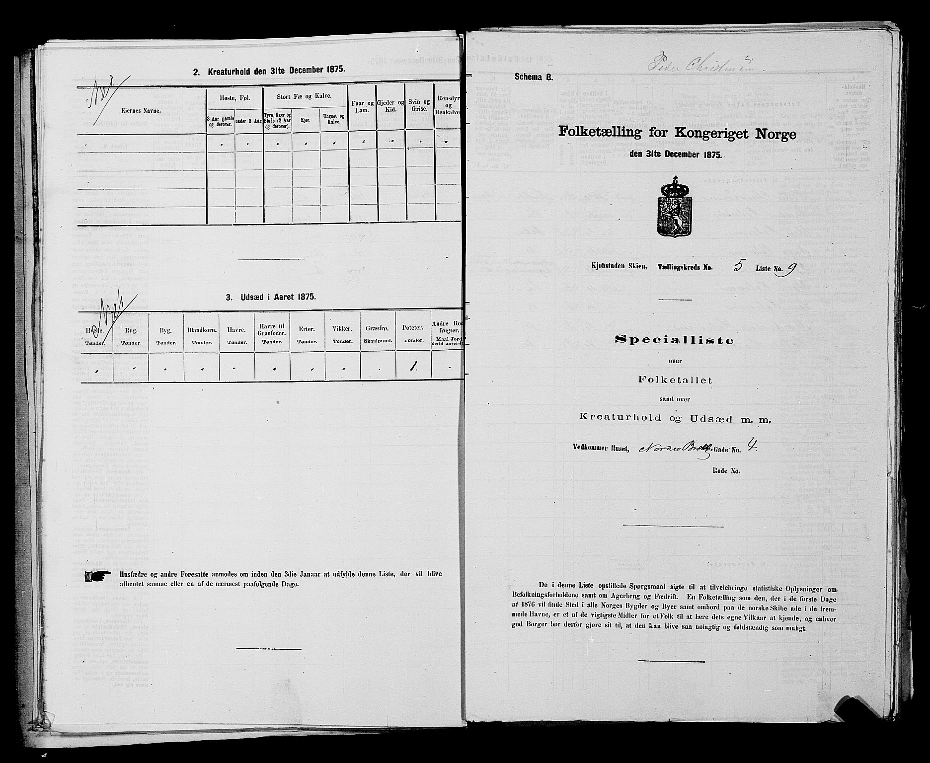 SAKO, 1875 census for 0806P Skien, 1875, p. 868