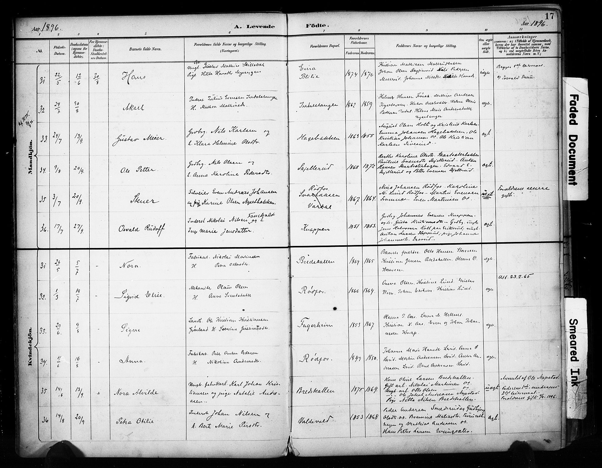 Vestre Toten prestekontor, SAH/PREST-108/H/Ha/Haa/L0011: Parish register (official) no. 11, 1895-1906, p. 17