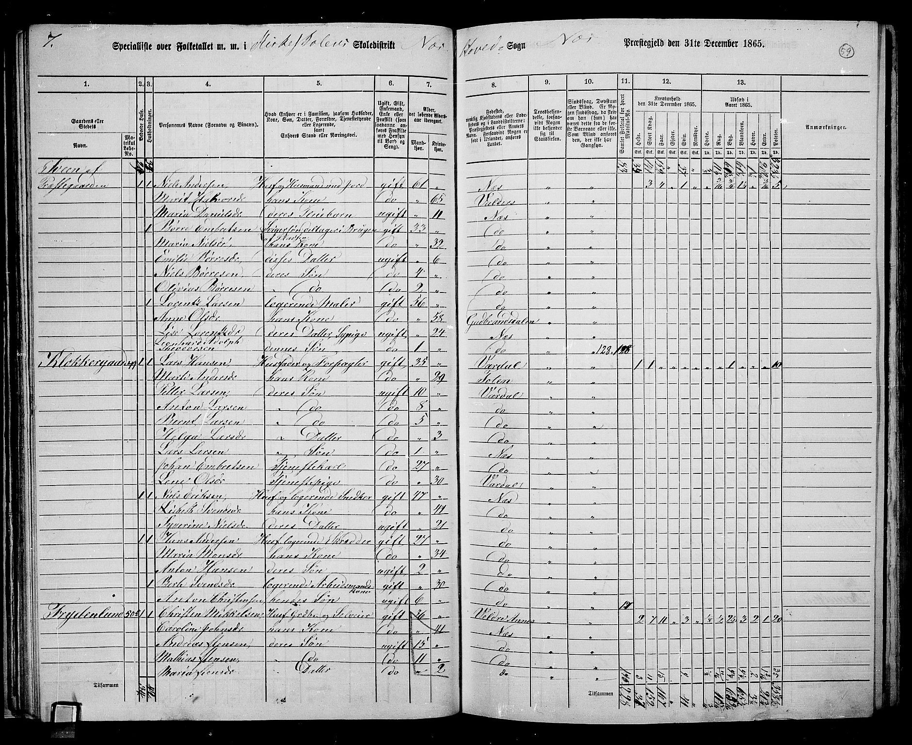 RA, 1865 census for Nes, 1865, p. 52