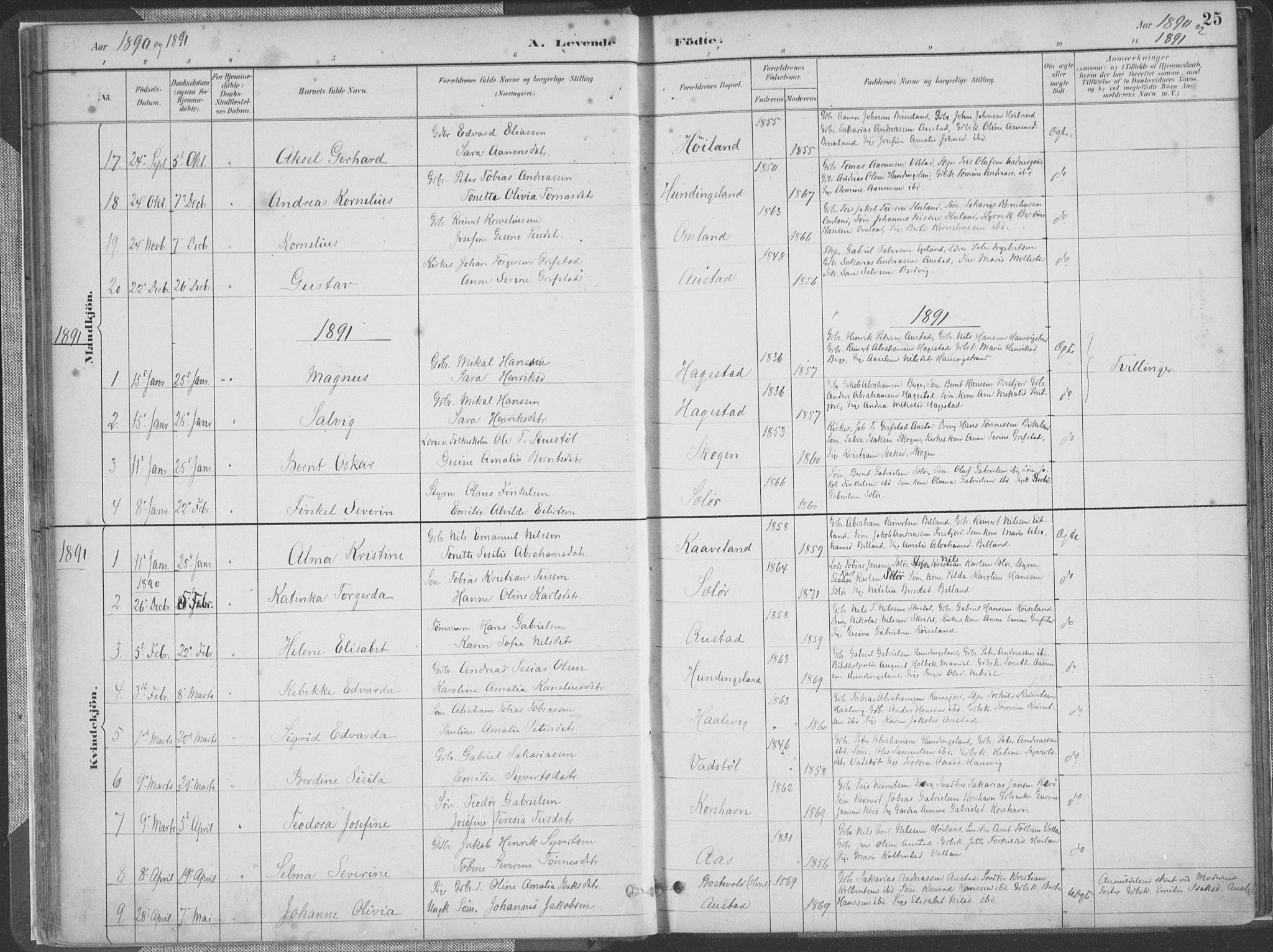 Lyngdal sokneprestkontor, SAK/1111-0029/F/Fa/Faa/L0004: Parish register (official) no. A 4, 1883-1904, p. 25