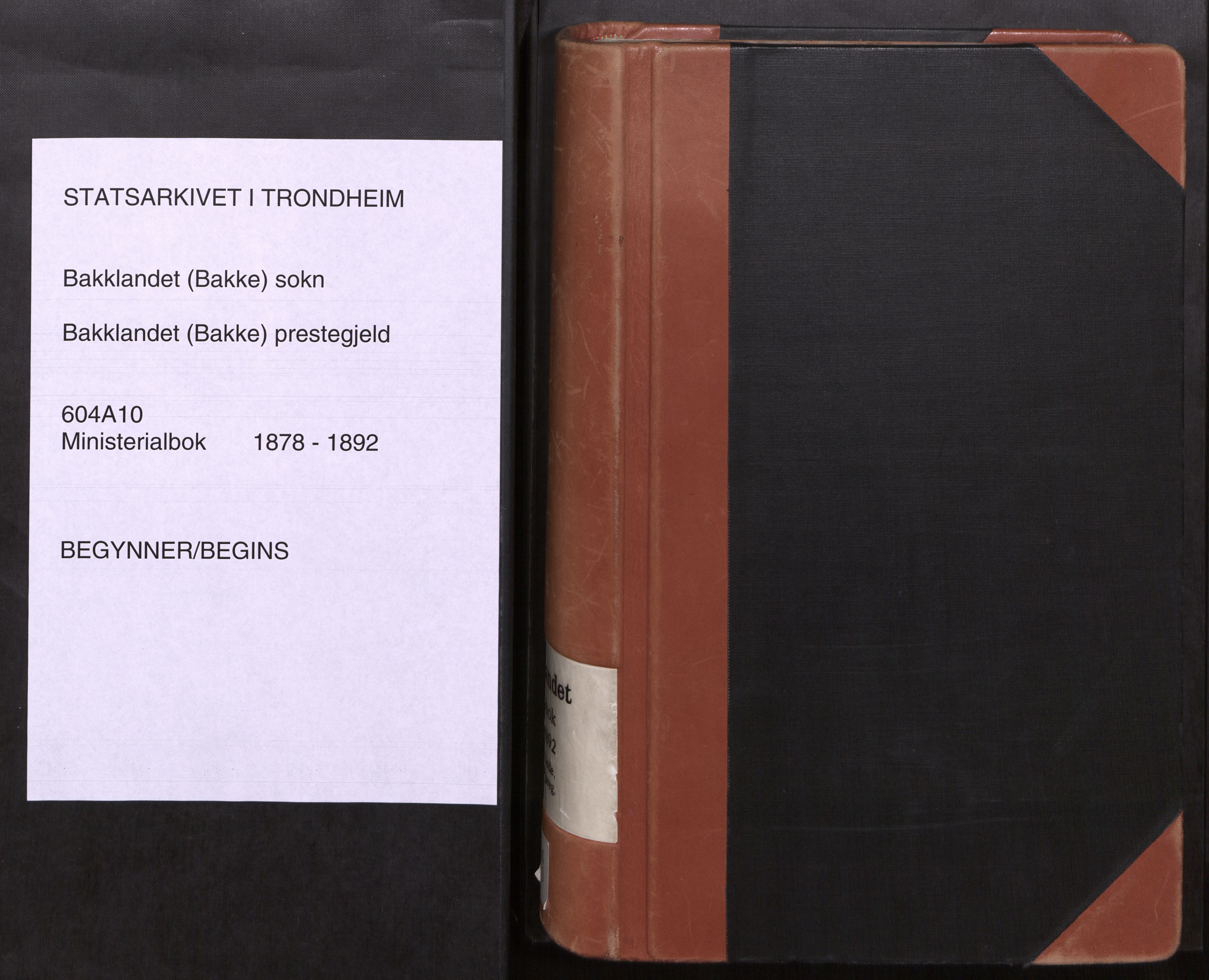 Ministerialprotokoller, klokkerbøker og fødselsregistre - Sør-Trøndelag, AV/SAT-A-1456/604/L0189: Parish register (official) no. 604A10, 1878-1892