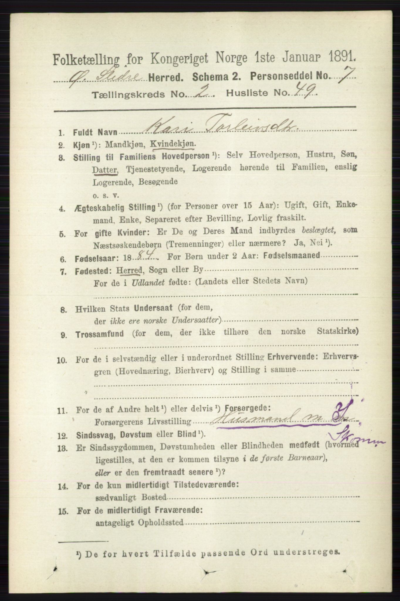 RA, 1891 census for 0544 Øystre Slidre, 1891, p. 538