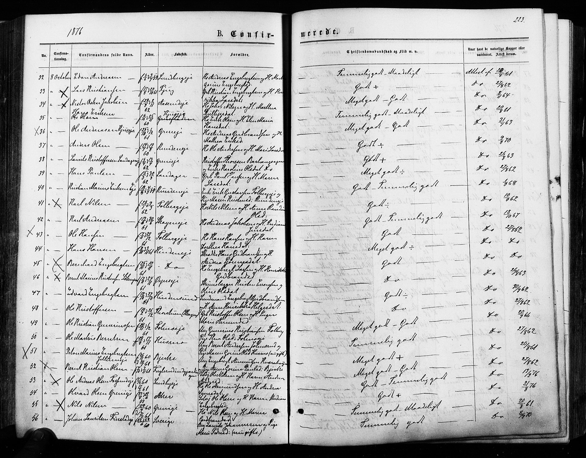 Nes prestekontor Kirkebøker, AV/SAO-A-10410/F/Fa/L0009: Parish register (official) no. I 9, 1875-1882, p. 223