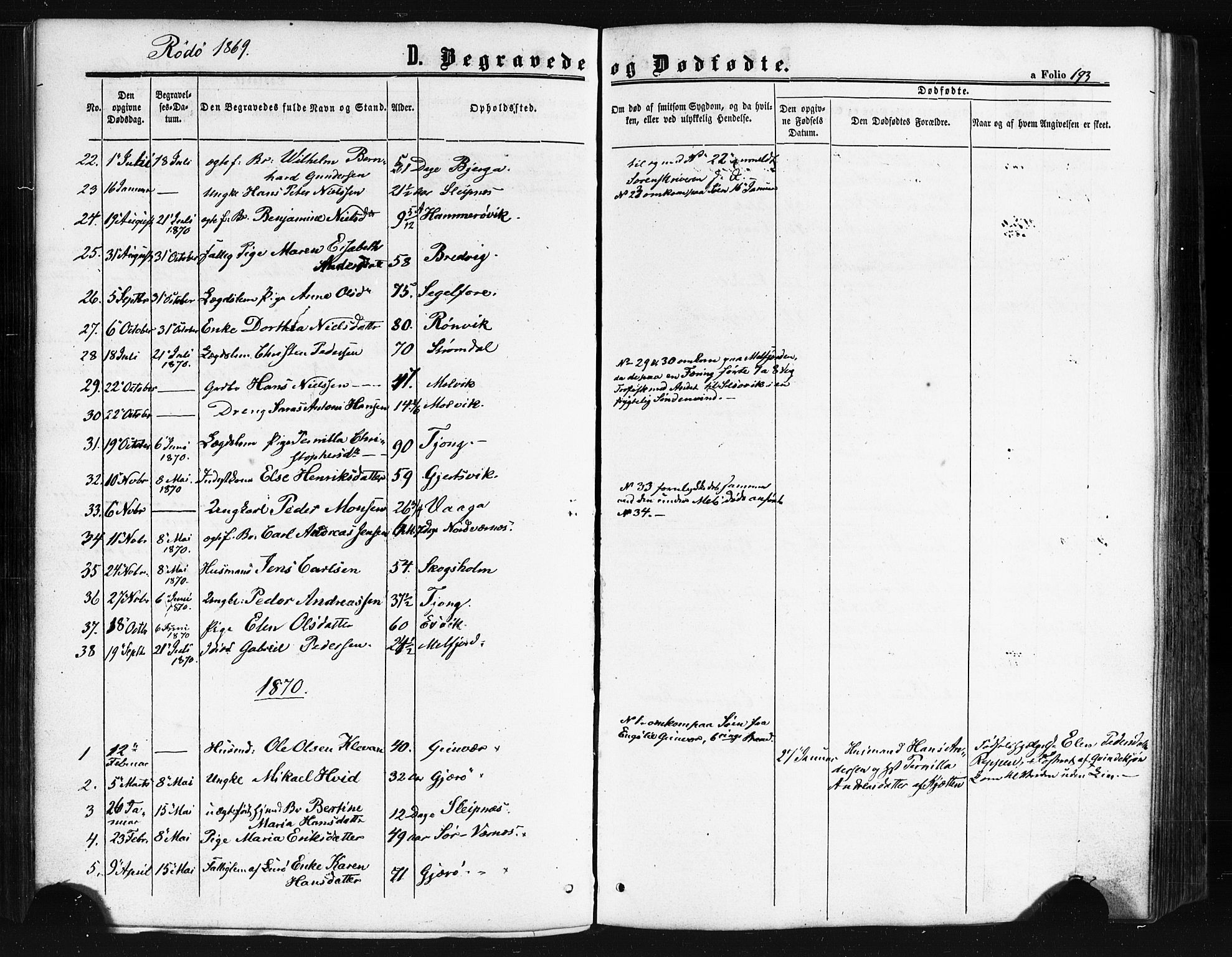 Ministerialprotokoller, klokkerbøker og fødselsregistre - Nordland, SAT/A-1459/841/L0607: Parish register (official) no. 841A11 /1, 1863-1877, p. 193