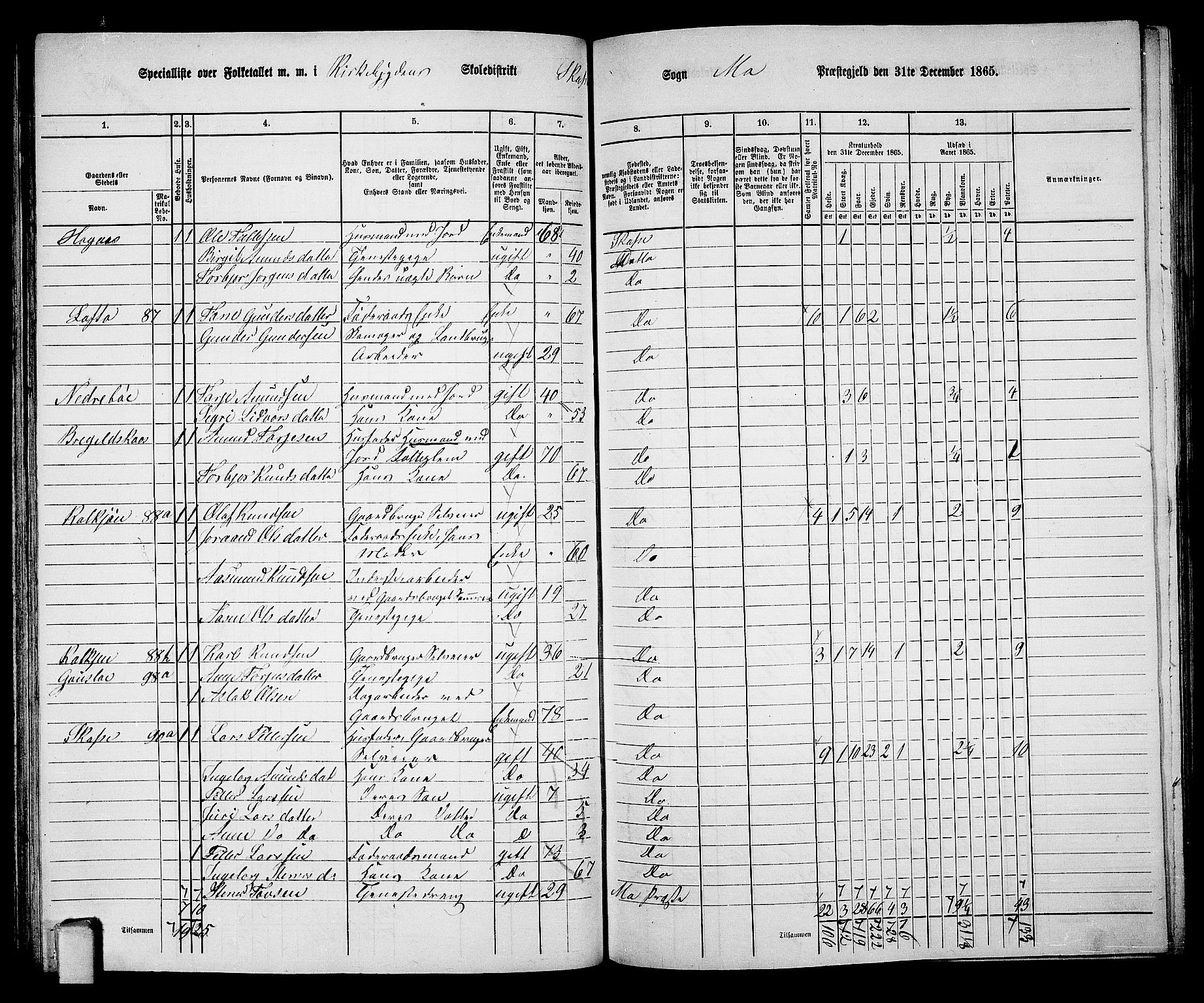 RA, 1865 census for Mo, 1865, p. 70