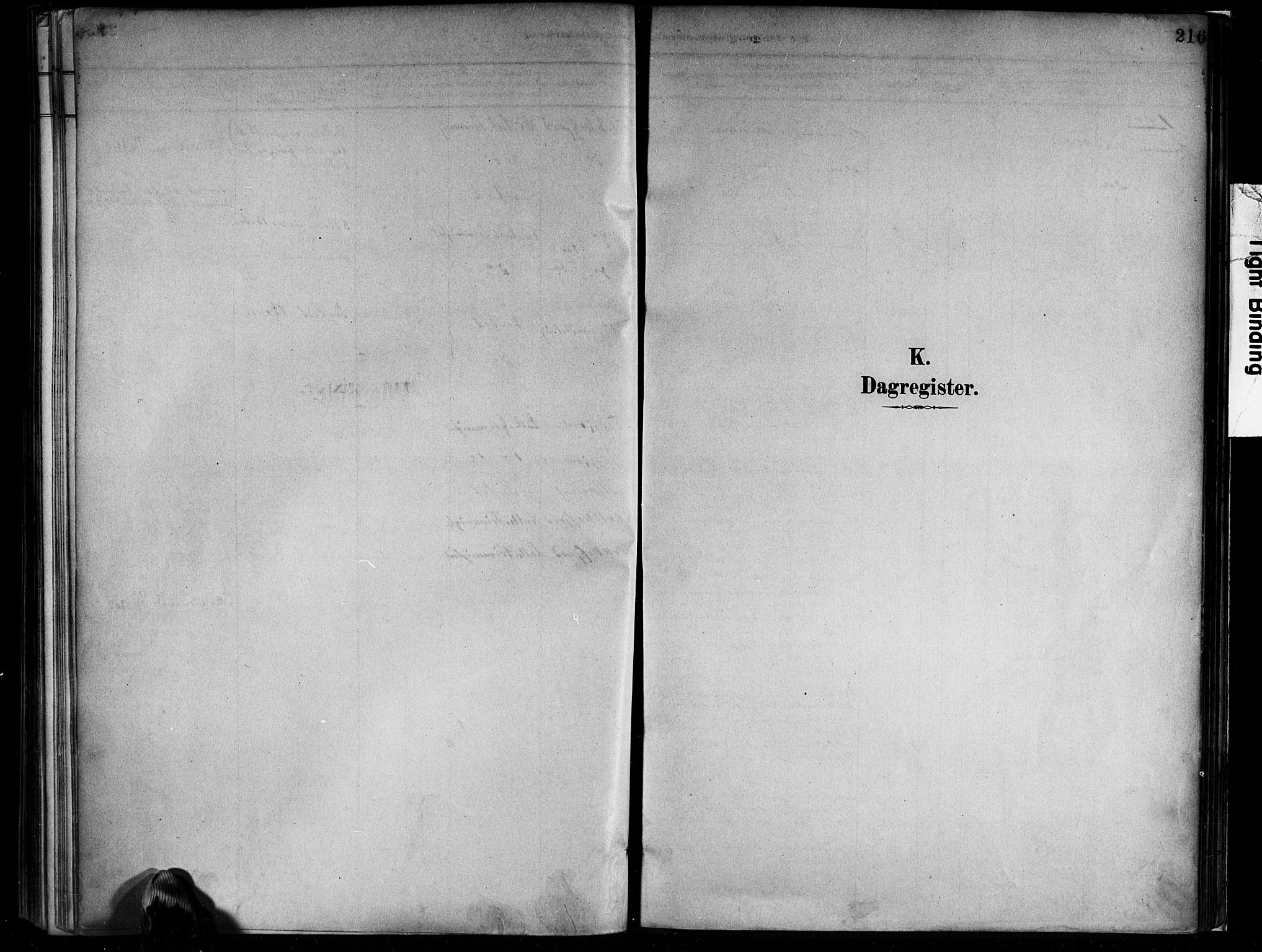 Flekkefjord sokneprestkontor, SAK/1111-0012/F/Fa/Faa/L0001: Parish register (official) no. A 1, 1885-1900, p. 216