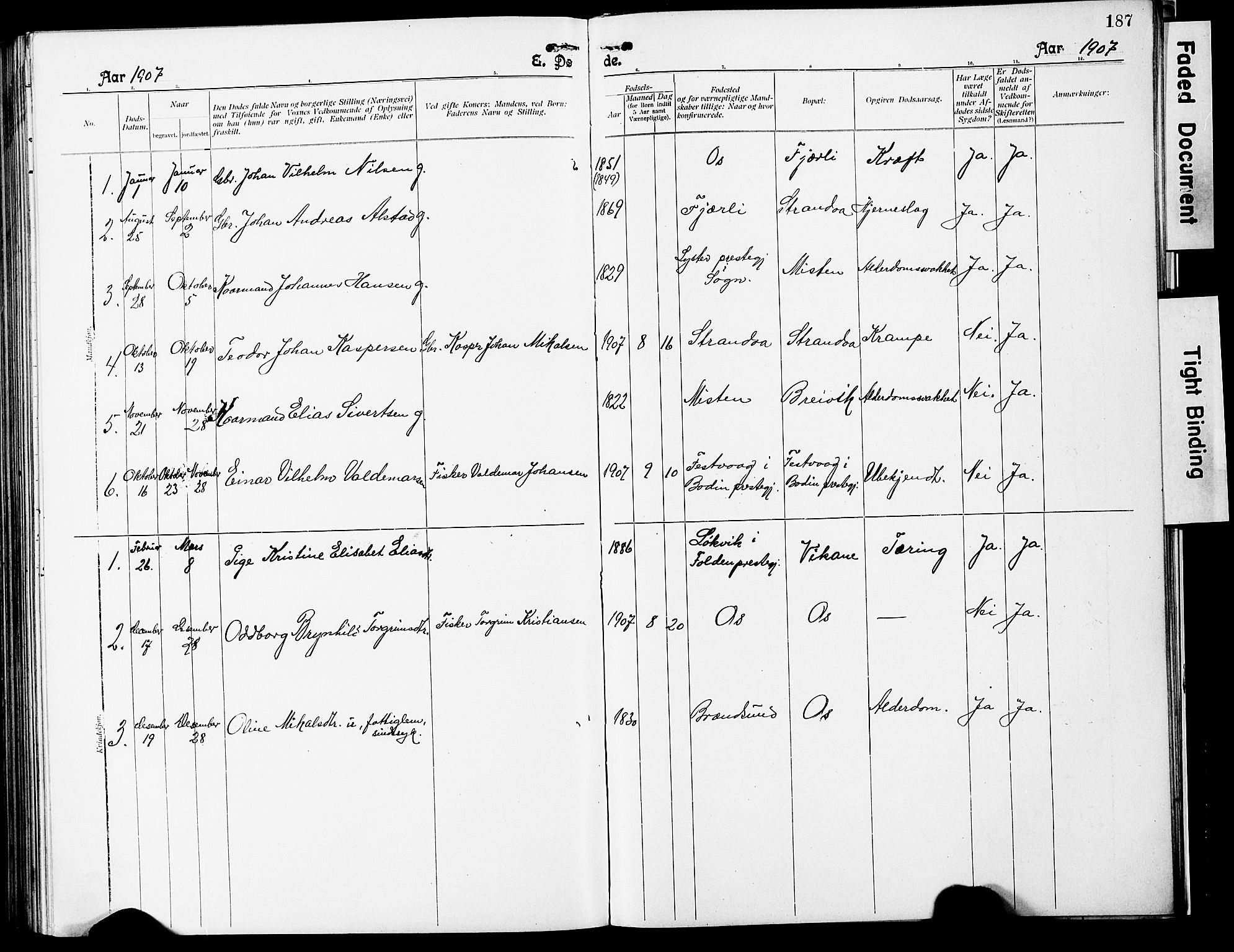 Ministerialprotokoller, klokkerbøker og fødselsregistre - Nordland, AV/SAT-A-1459/803/L0077: Parish register (copy) no. 803C04, 1897-1930, p. 187