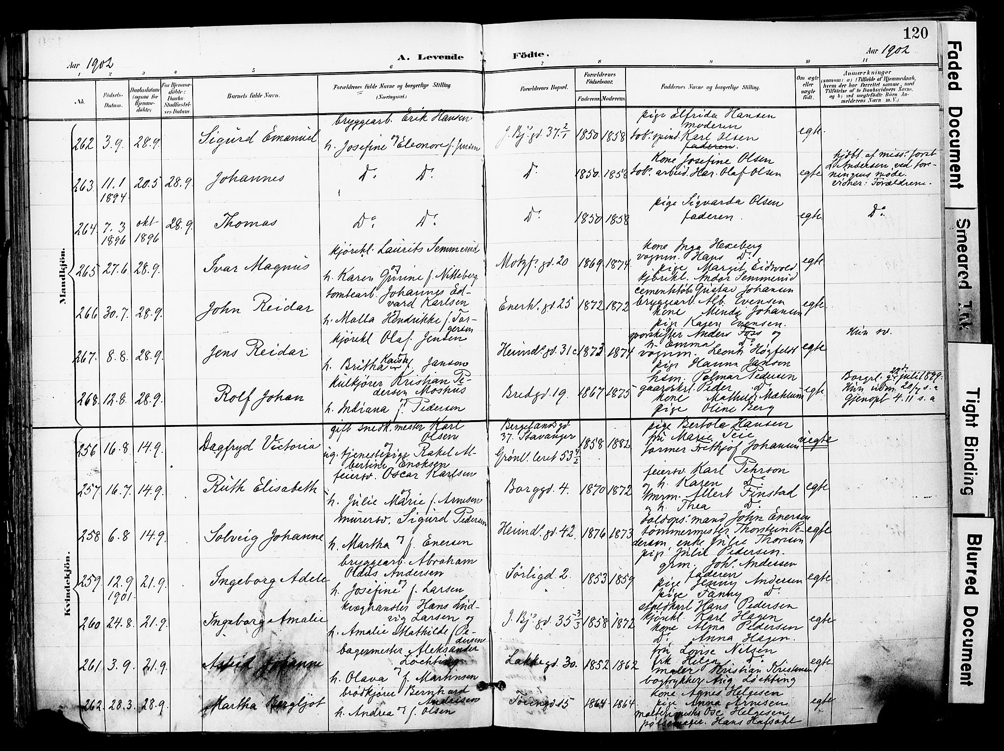 Grønland prestekontor Kirkebøker, SAO/A-10848/F/Fa/L0014: Parish register (official) no. 14, 1900-1911, p. 120