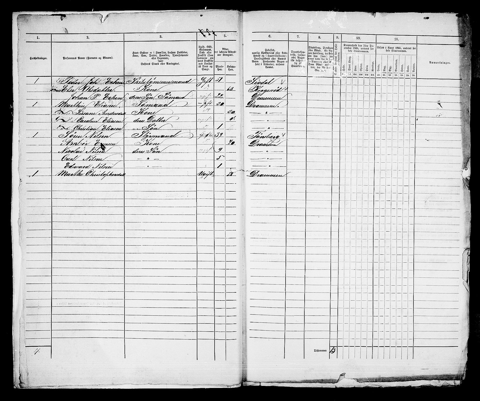 RA, 1865 census for Strømsø in Drammen, 1865, p. 619