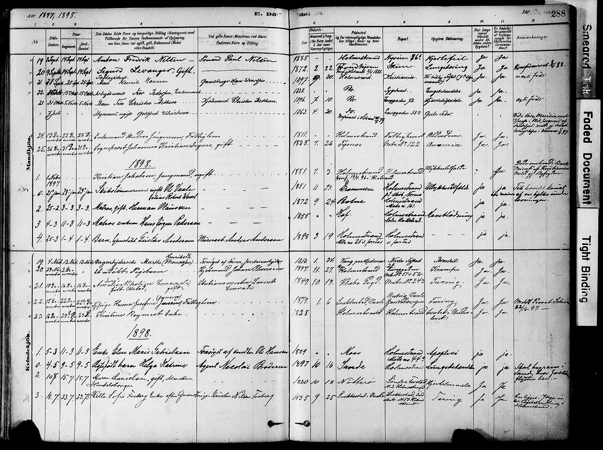 Holmestrand kirkebøker, AV/SAKO-A-346/F/Fa/L0004: Parish register (official) no. 4, 1880-1901, p. 288