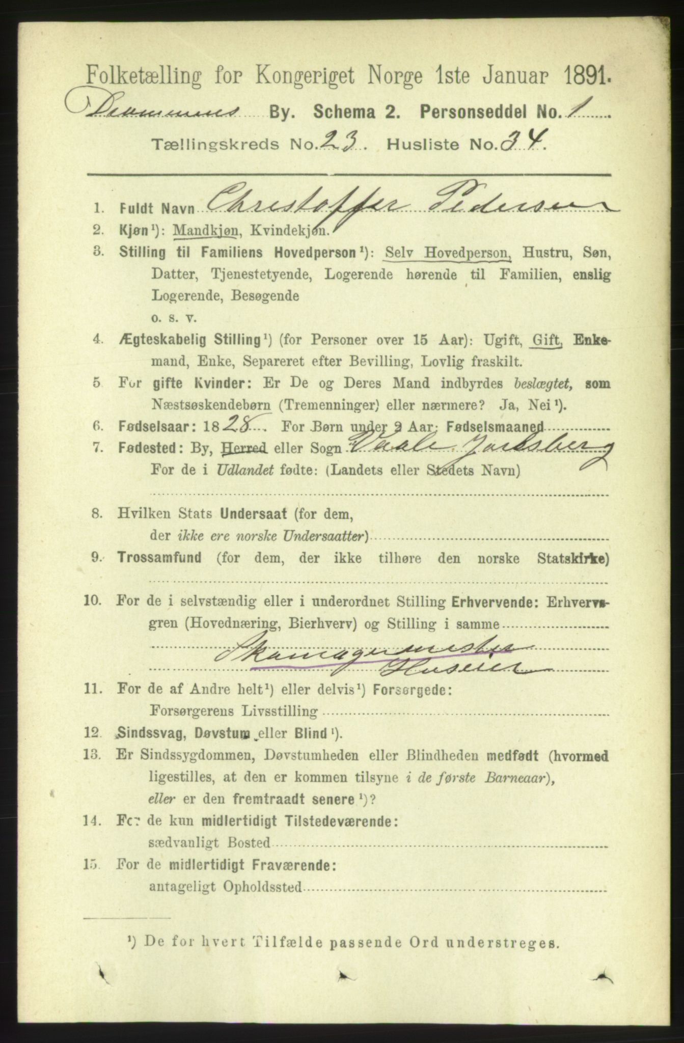 RA, 1891 census for 0602 Drammen, 1891, p. 14595
