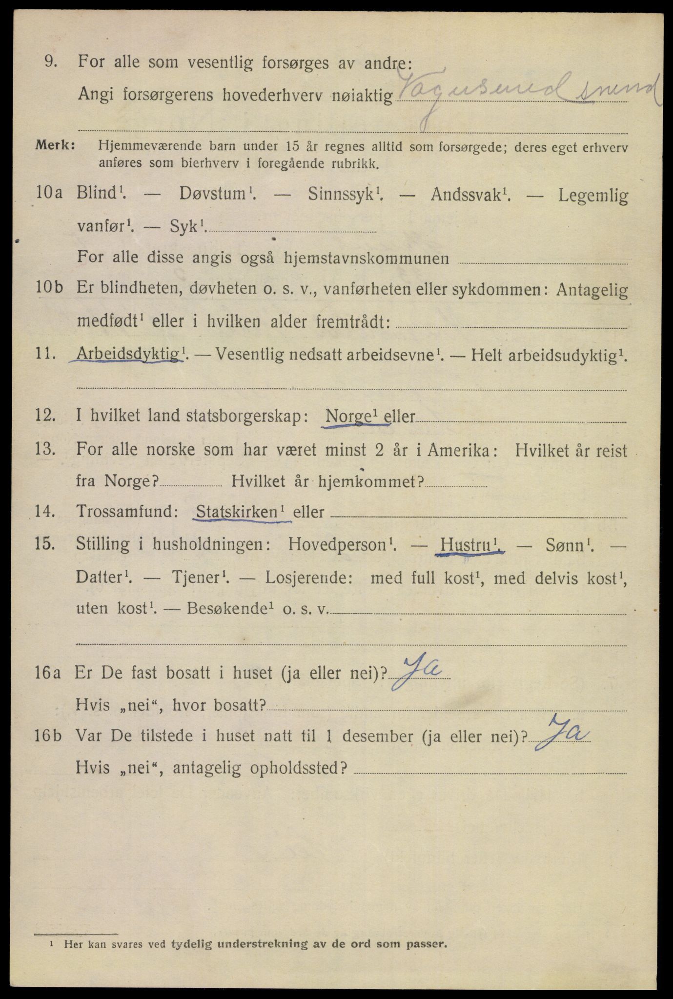 SAKO, 1920 census for Skien, 1920, p. 25319