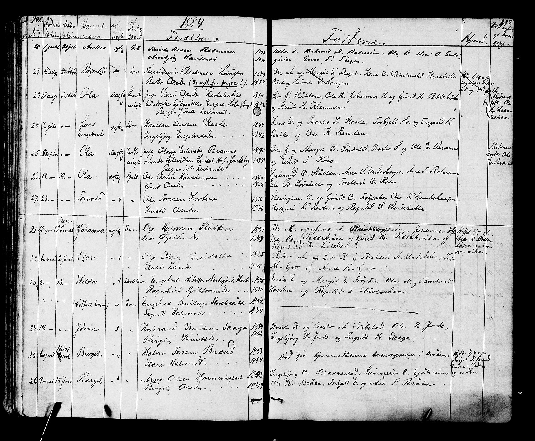 Gol kirkebøker, AV/SAKO-A-226/G/Ga/L0002: Parish register (copy) no. I 2, 1860-1887, p. 246-247