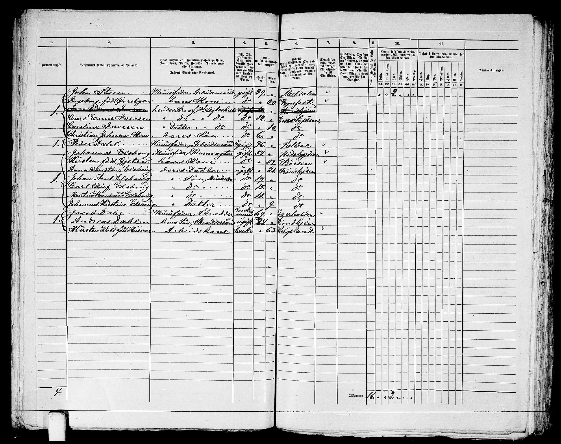 RA, 1865 census for Trondheim, 1865, p. 1284