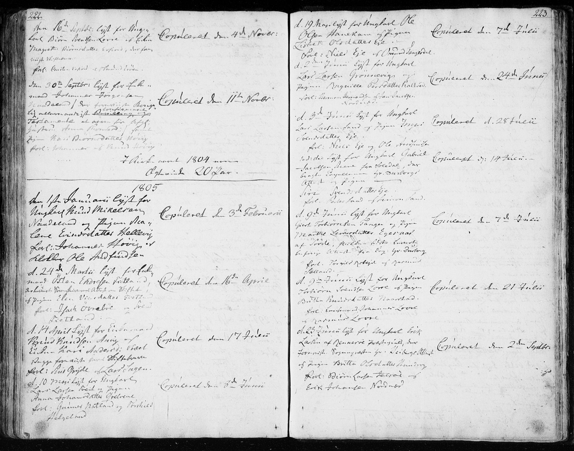 Jelsa sokneprestkontor, AV/SAST-A-101842/01/IV: Parish register (official) no. A 4, 1796-1816, p. 222-223