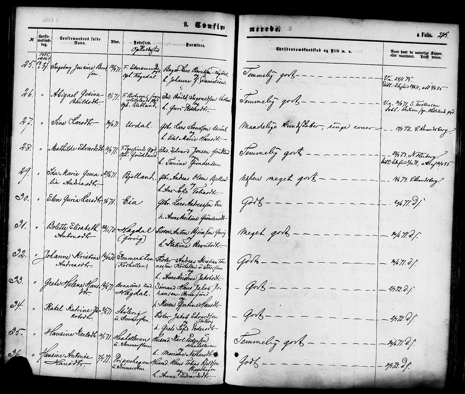 Sokndal sokneprestkontor, AV/SAST-A-101808: Parish register (official) no. A 10, 1874-1886, p. 225