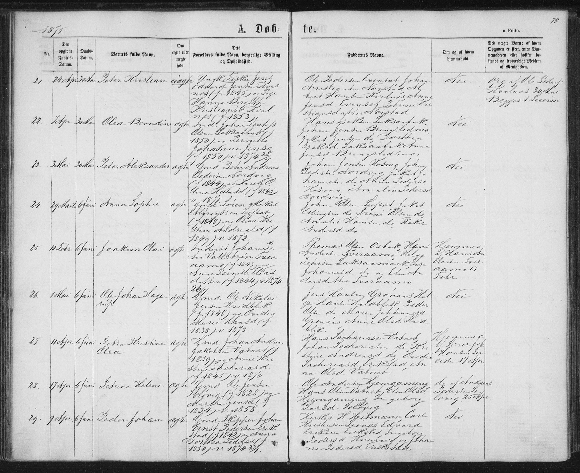 Ministerialprotokoller, klokkerbøker og fødselsregistre - Nordland, AV/SAT-A-1459/852/L0739: Parish register (official) no. 852A09, 1866-1877, p. 75