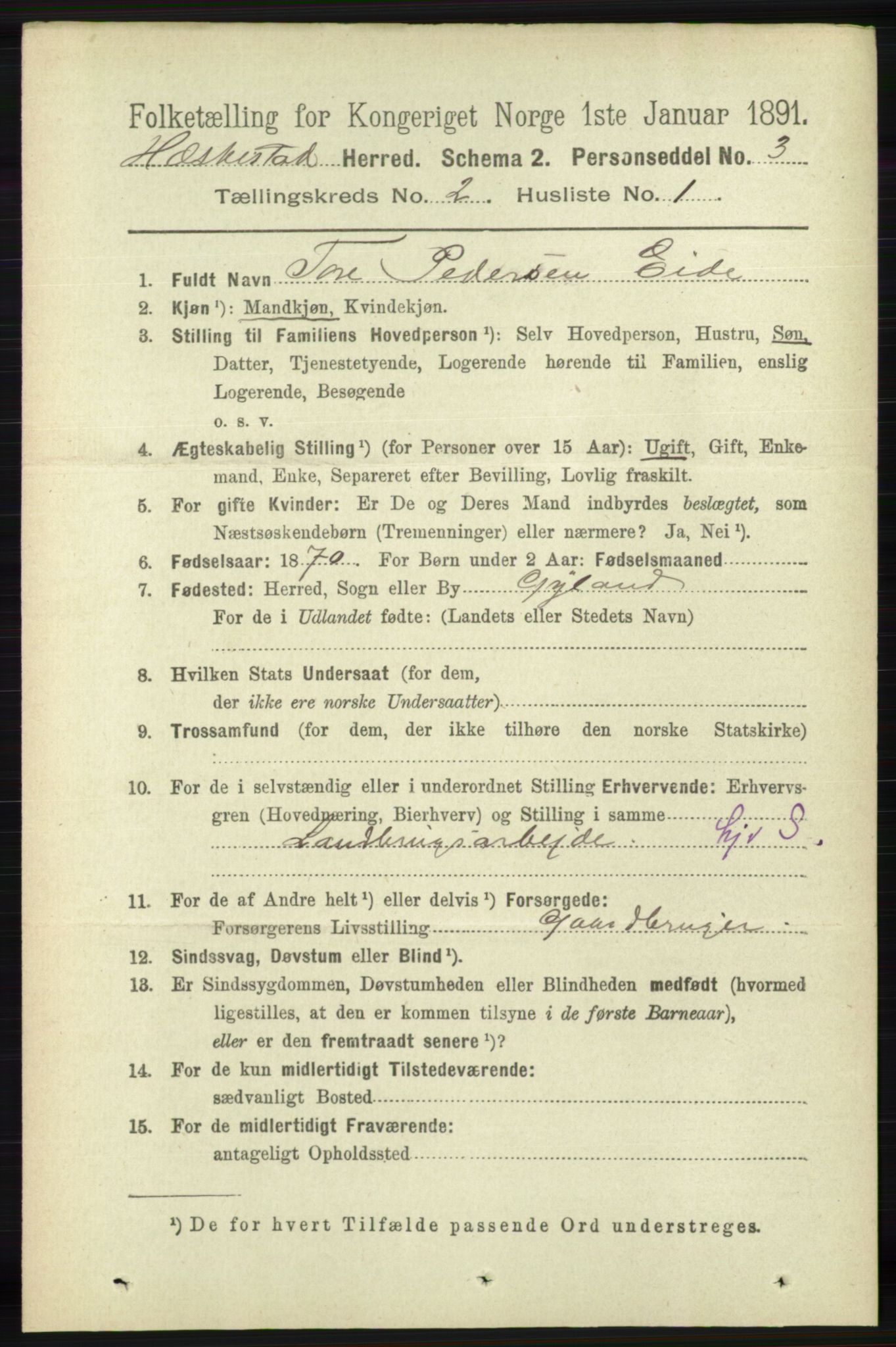 RA, 1891 census for 1113 Heskestad, 1891, p. 273