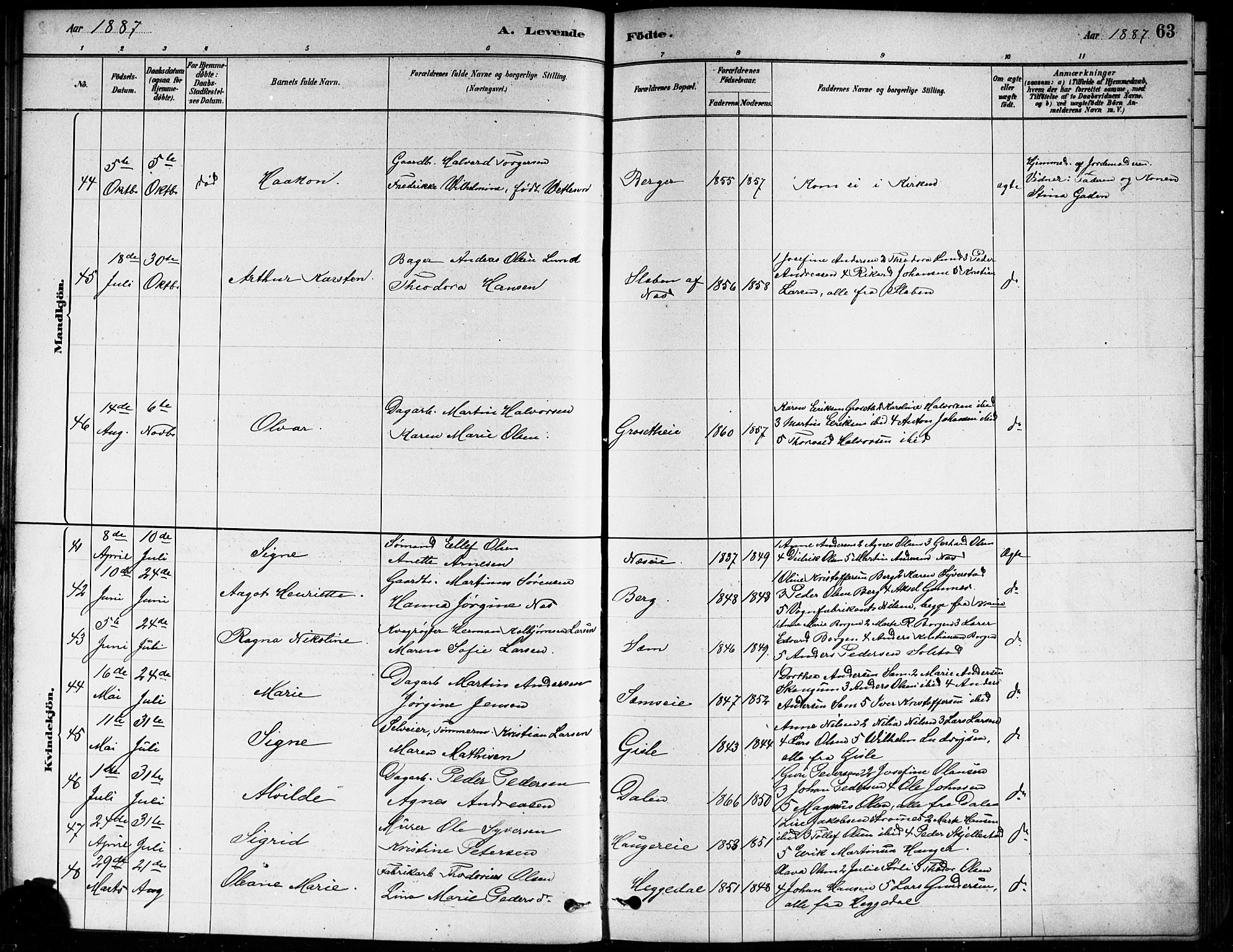 Asker prestekontor Kirkebøker, AV/SAO-A-10256a/F/Fa/L0013: Parish register (official) no. I 13, 1879-1896, p. 63