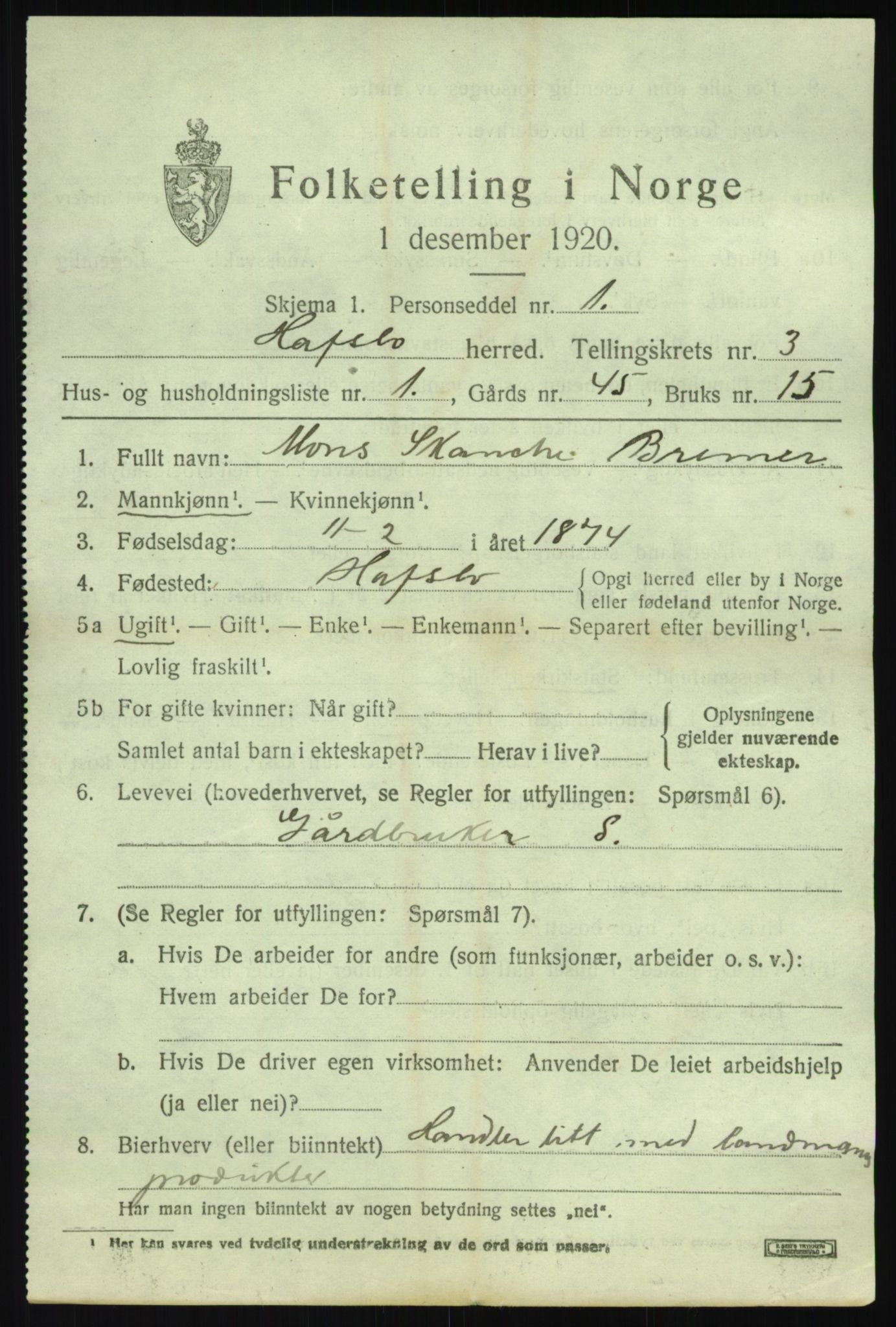 SAB, 1920 census for Hafslo, 1920, p. 2048