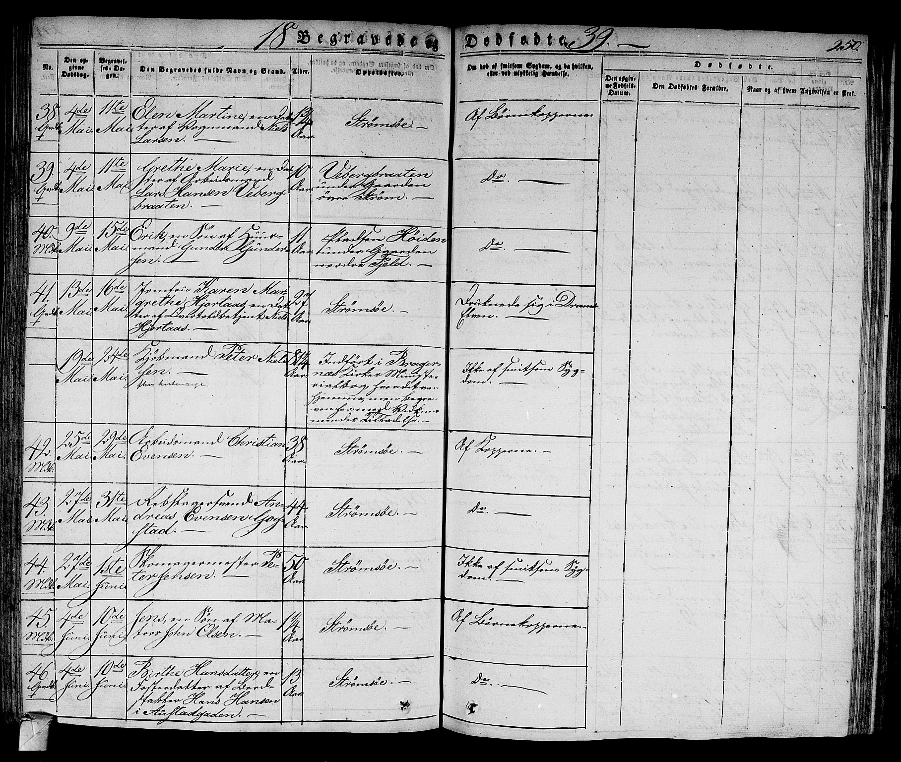 Strømsø kirkebøker, AV/SAKO-A-246/F/Fa/L0012: Parish register (official) no. I 12, 1830-1847, p. 250