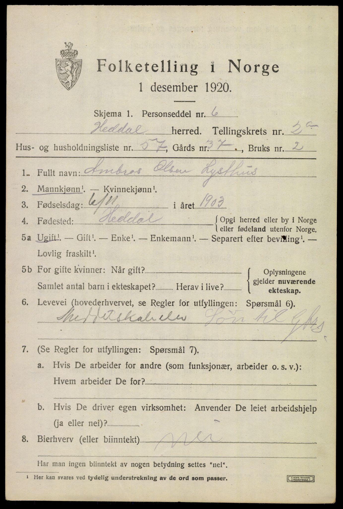 SAKO, 1920 census for Heddal, 1920, p. 2646