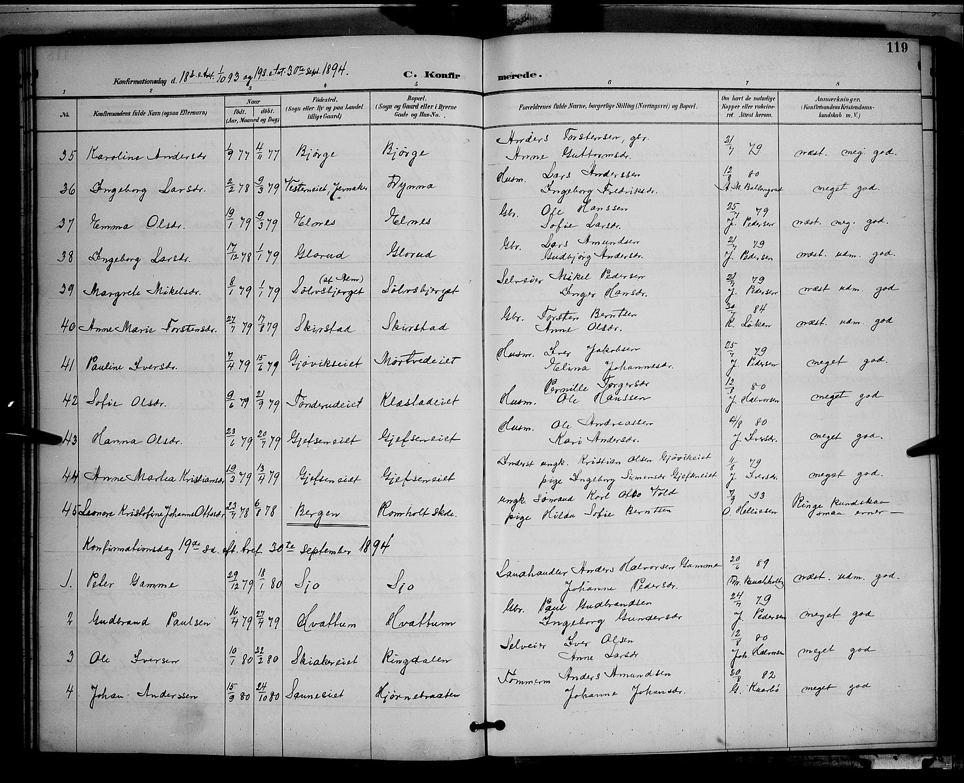 Gran prestekontor, AV/SAH-PREST-112/H/Ha/Hab/L0005: Parish register (copy) no. 5, 1892-1900, p. 119