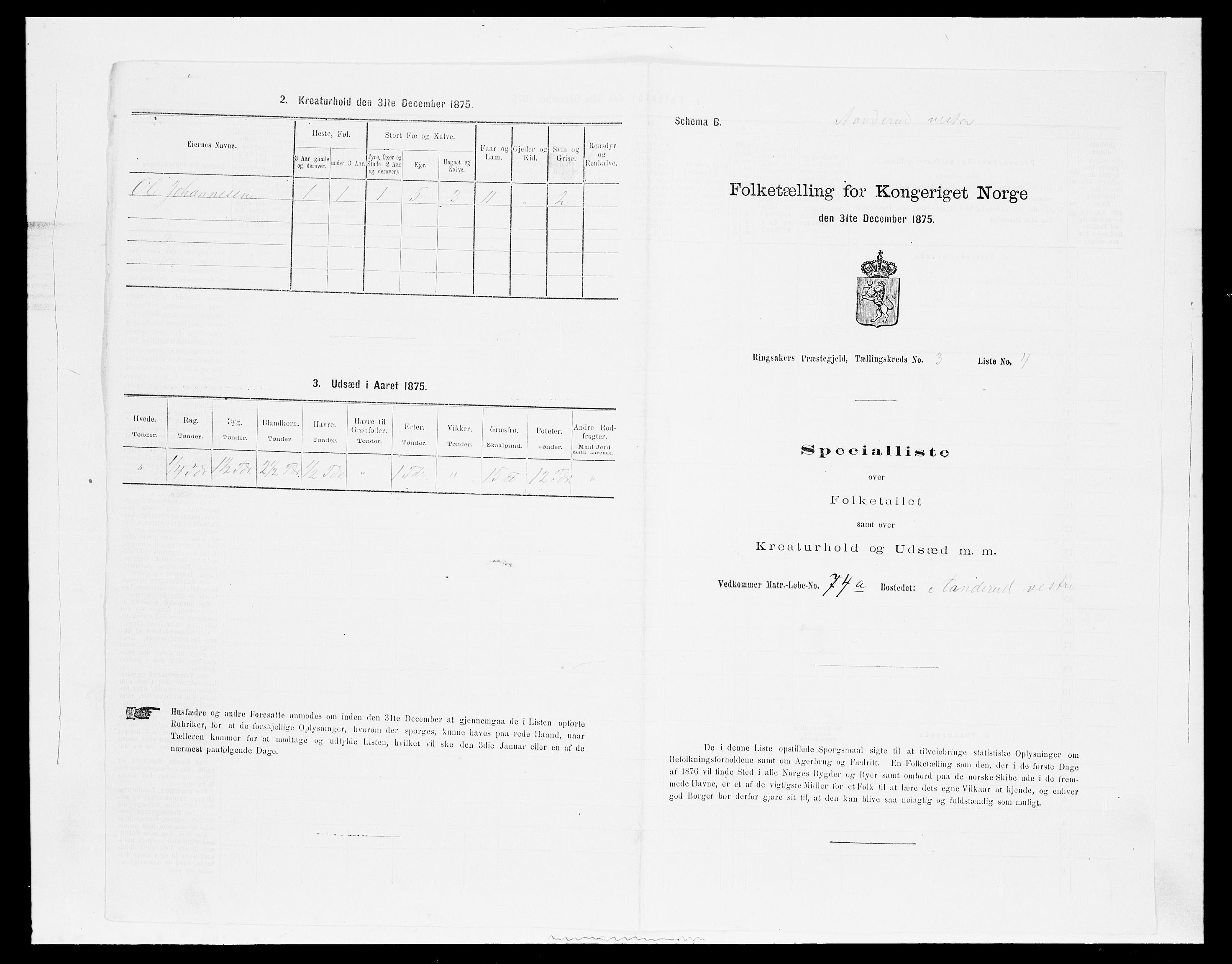 SAH, 1875 census for 0412P Ringsaker, 1875, p. 621