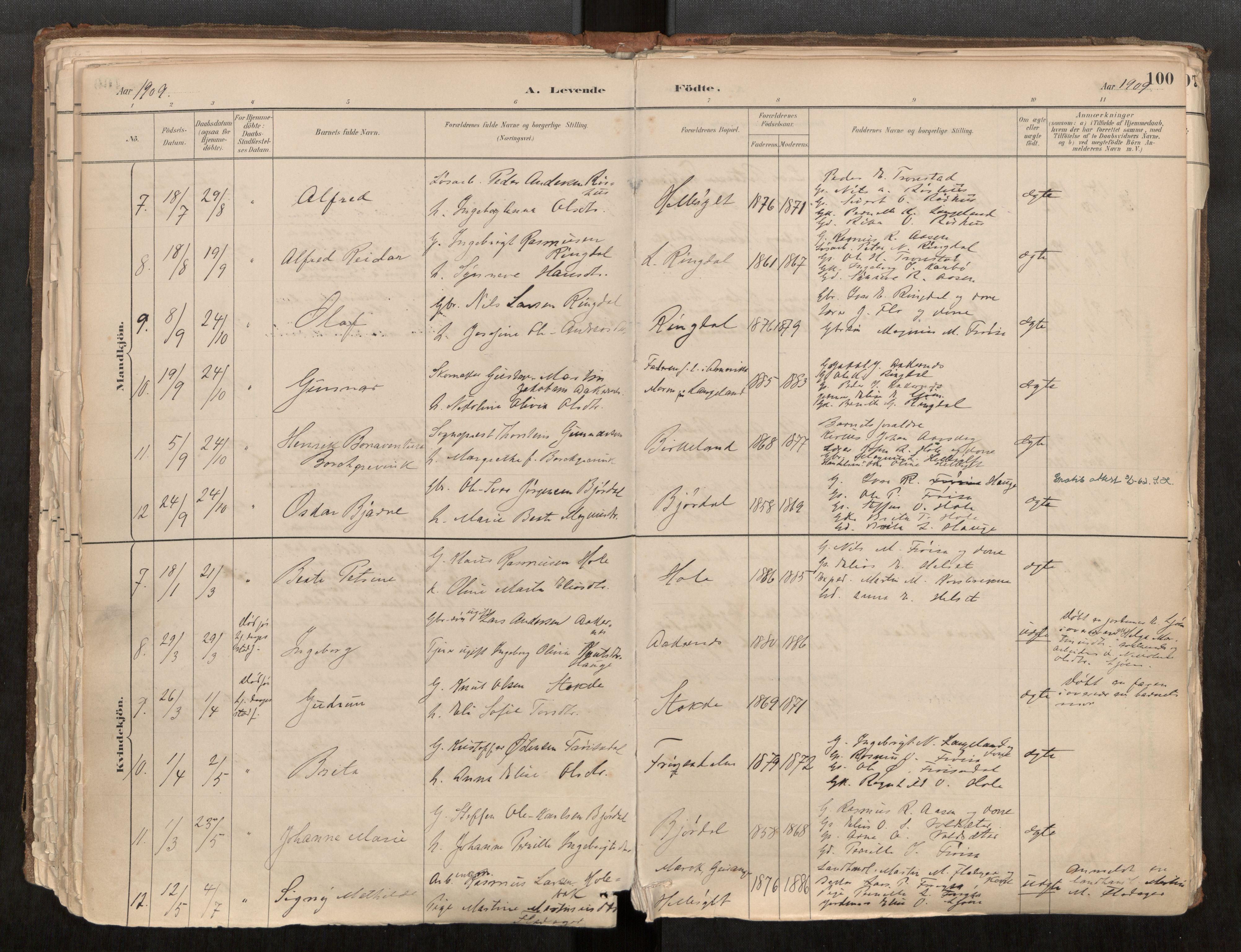 Sunnylven sokneprestkontor, AV/SAT-A-1007: Parish register (official) no. 517A08, 1882-1939, p. 100