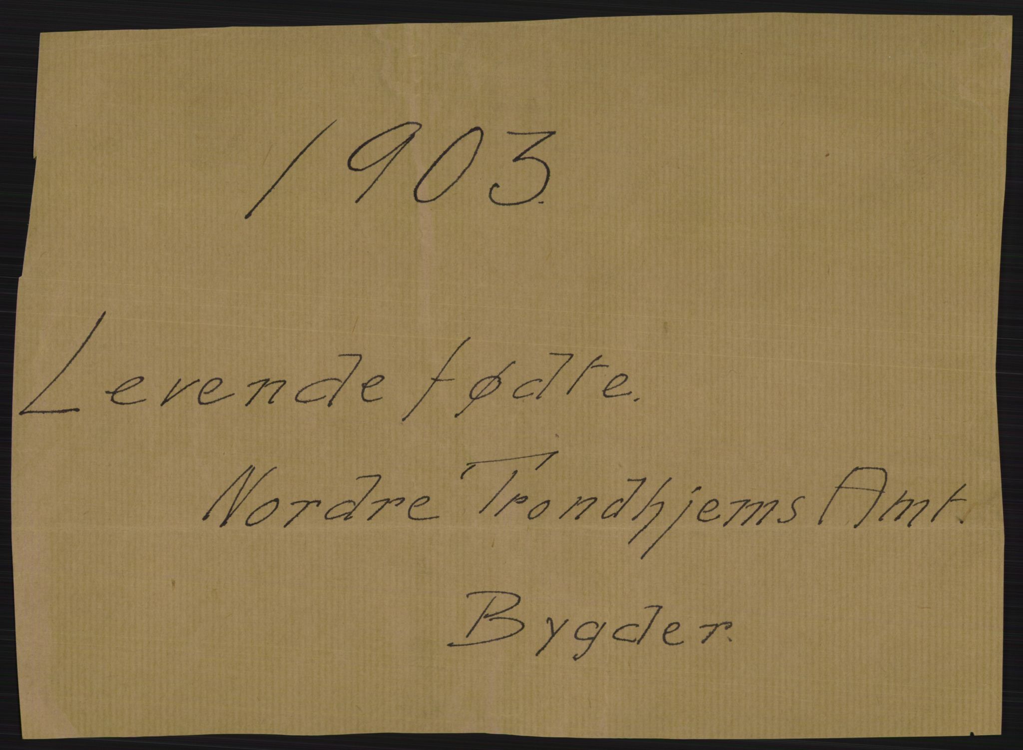 Statistisk sentralbyrå, Sosiodemografiske emner, Befolkning, RA/S-2228/D/Df/Dfa/Dfaa/L0018: Nordre Trondhjems amt: Fødte, gifte, døde. Byer og bygder. Trondhjem amt: Fødte, gifte, døde, 1903, p. 1