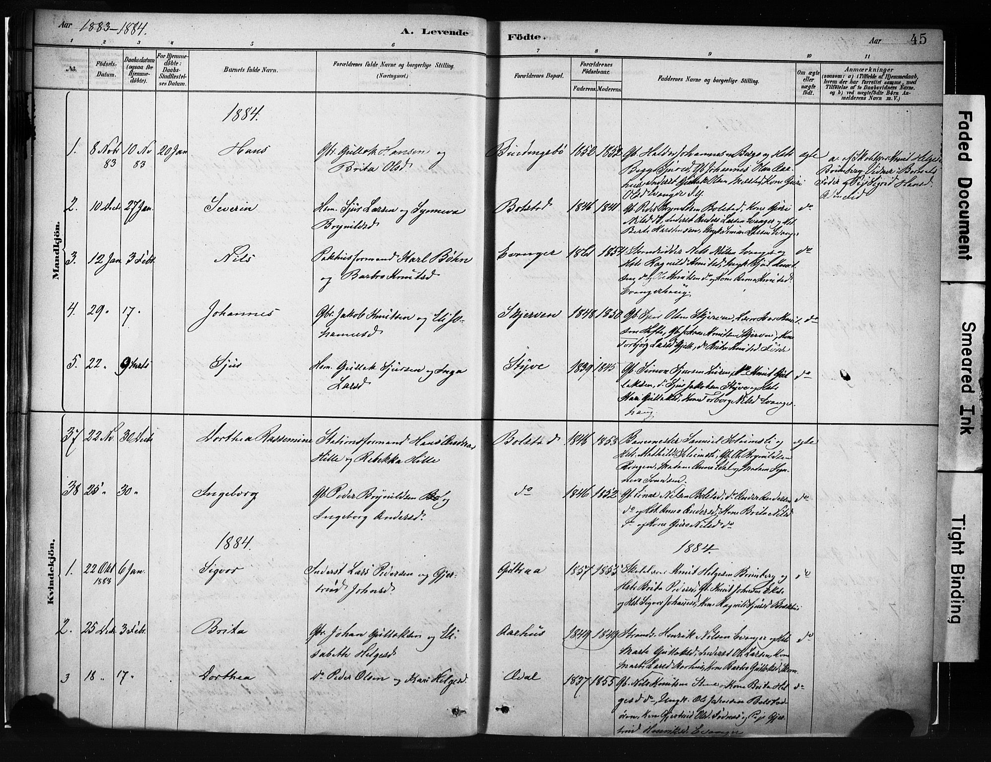 Evanger sokneprestembete, SAB/A-99924: Parish register (official) no. A 1, 1877-1899, p. 45