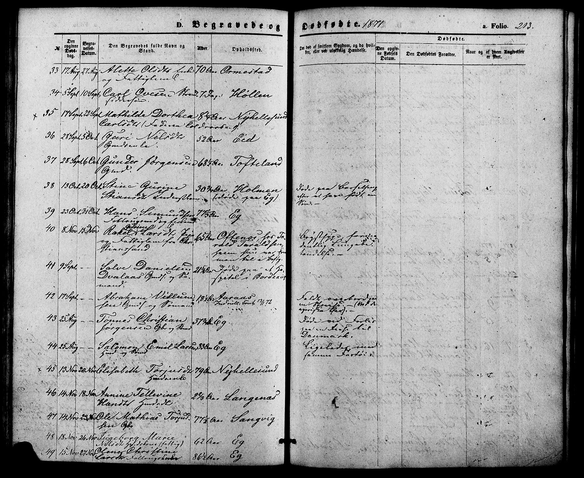 Søgne sokneprestkontor, SAK/1111-0037/F/Fa/Fab/L0011: Parish register (official) no. A 11, 1869-1879, p. 213