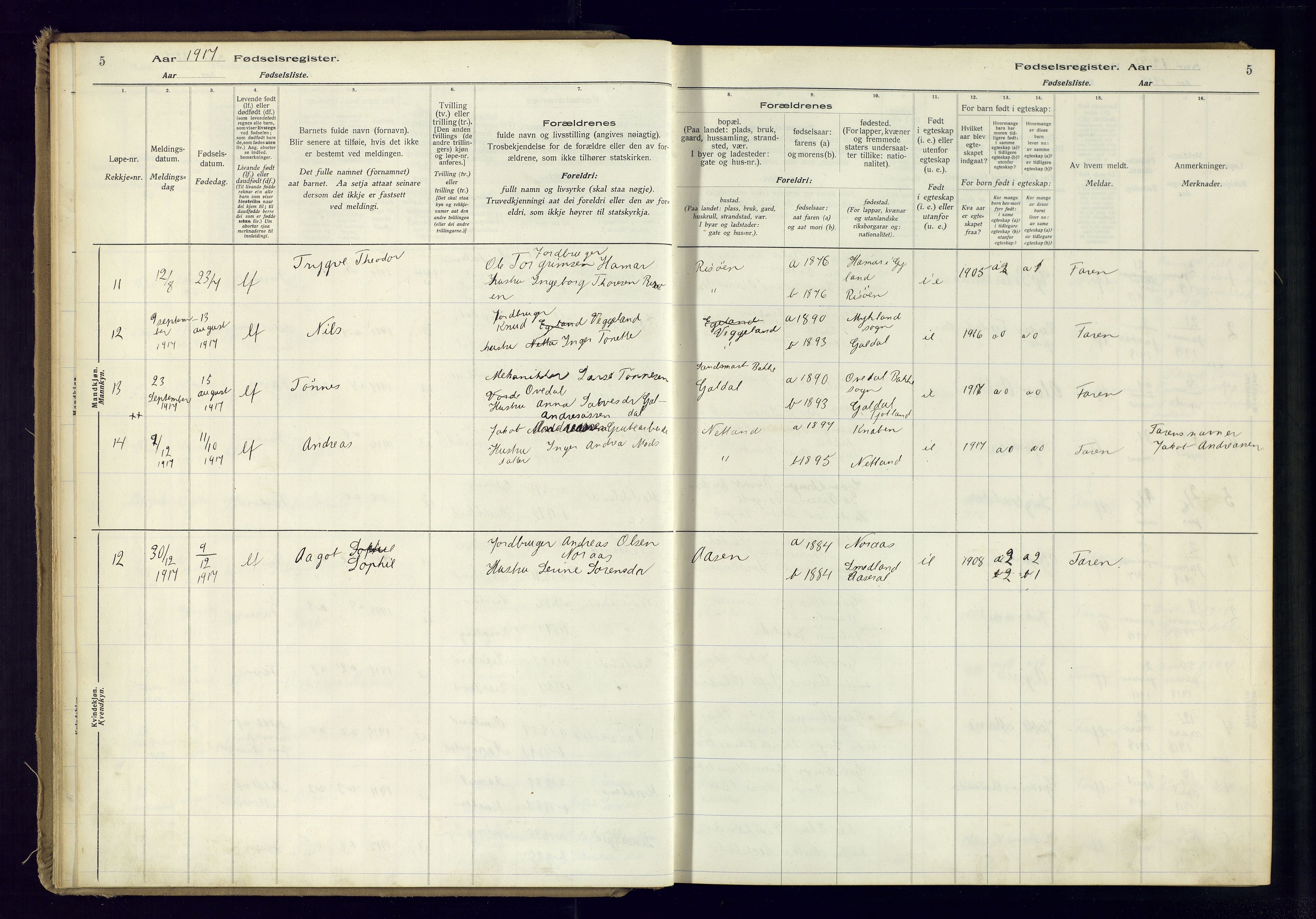 Fjotland sokneprestkontor, AV/SAK-1111-0010/J/Ja/L0001: Birth register no. 1, 1916-1981, p. 5