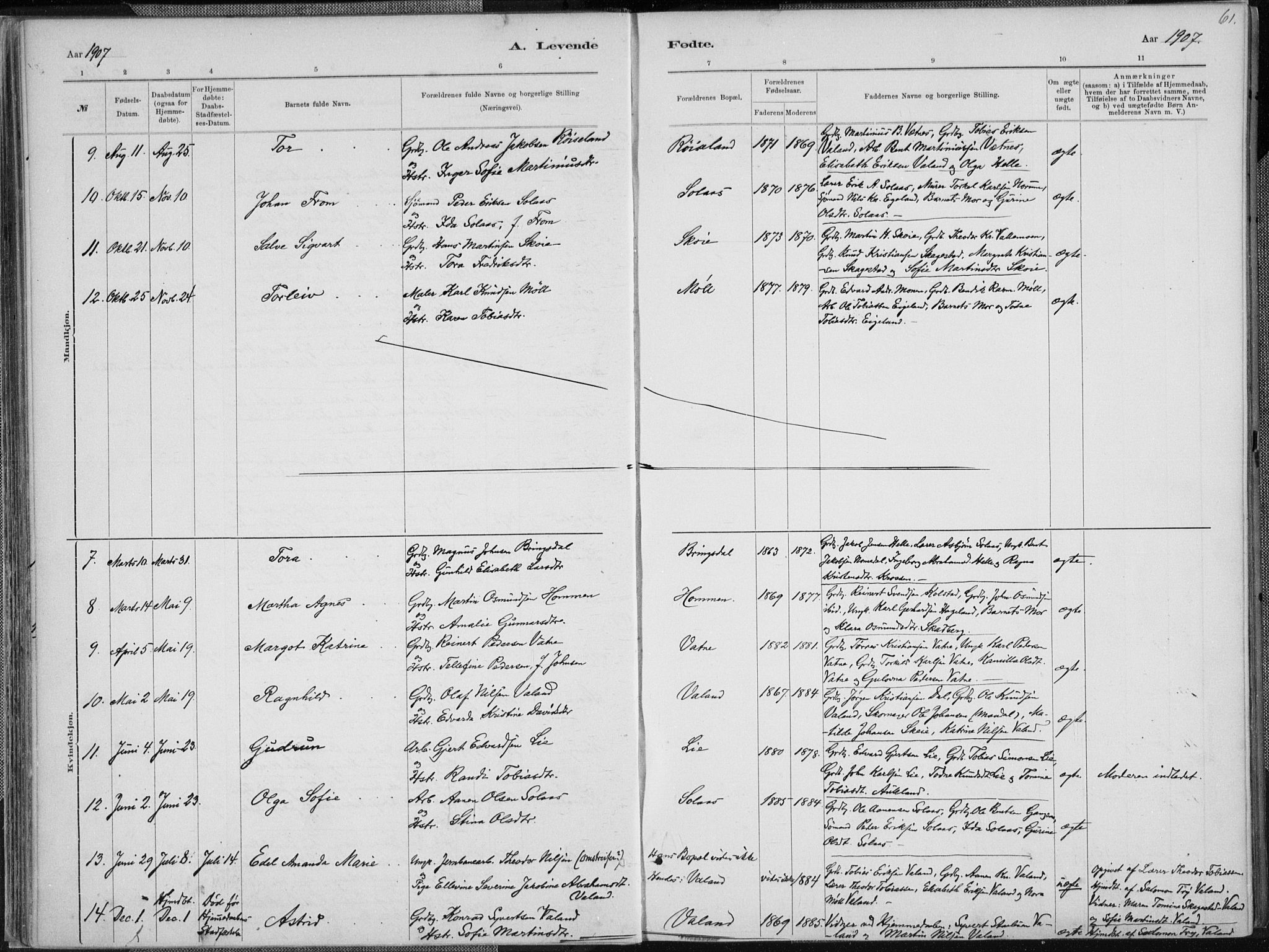 Holum sokneprestkontor, SAK/1111-0022/F/Fa/Faa/L0007: Parish register (official) no. A 7, 1884-1907, p. 61