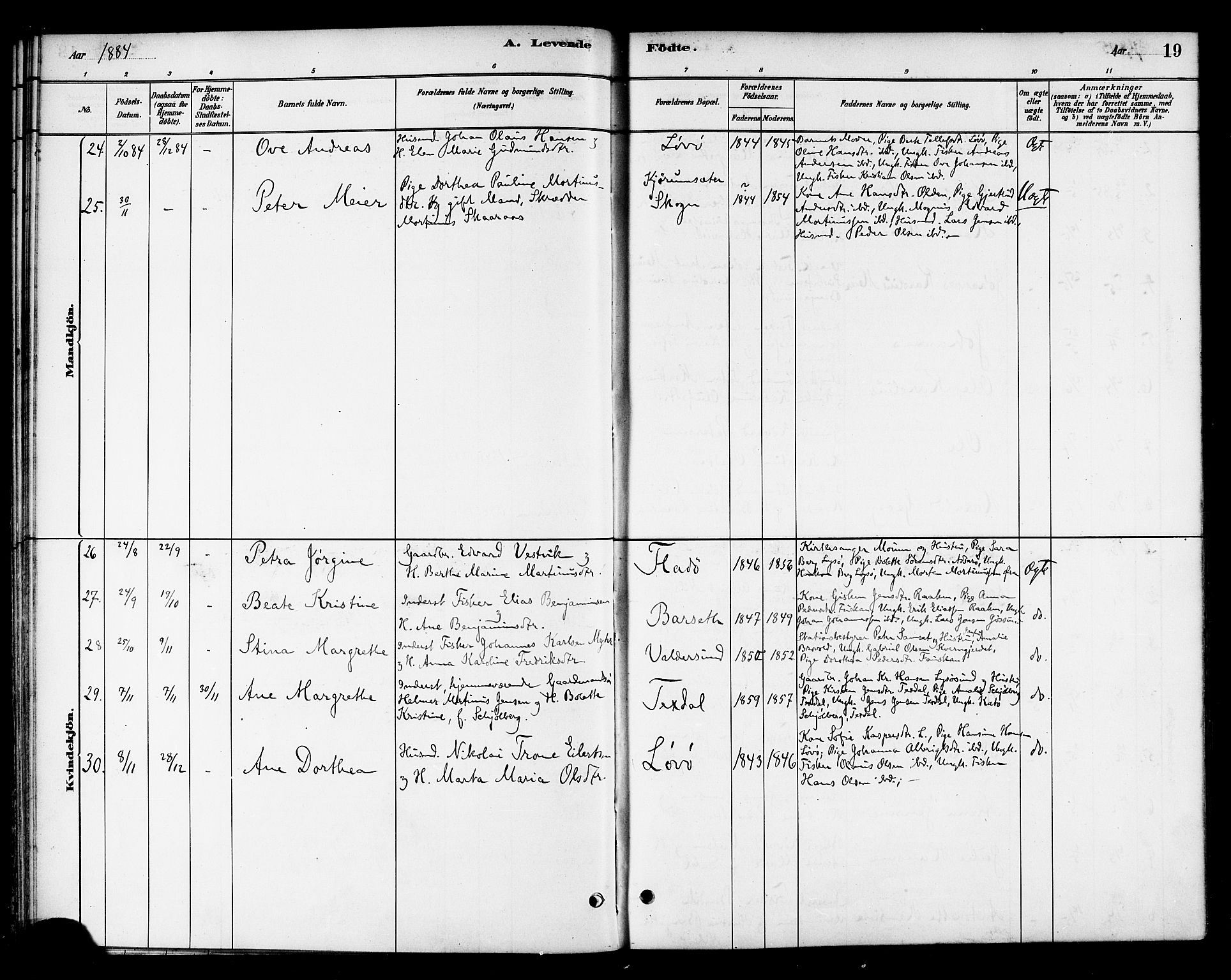 Ministerialprotokoller, klokkerbøker og fødselsregistre - Sør-Trøndelag, SAT/A-1456/654/L0663: Parish register (official) no. 654A01, 1880-1894, p. 19