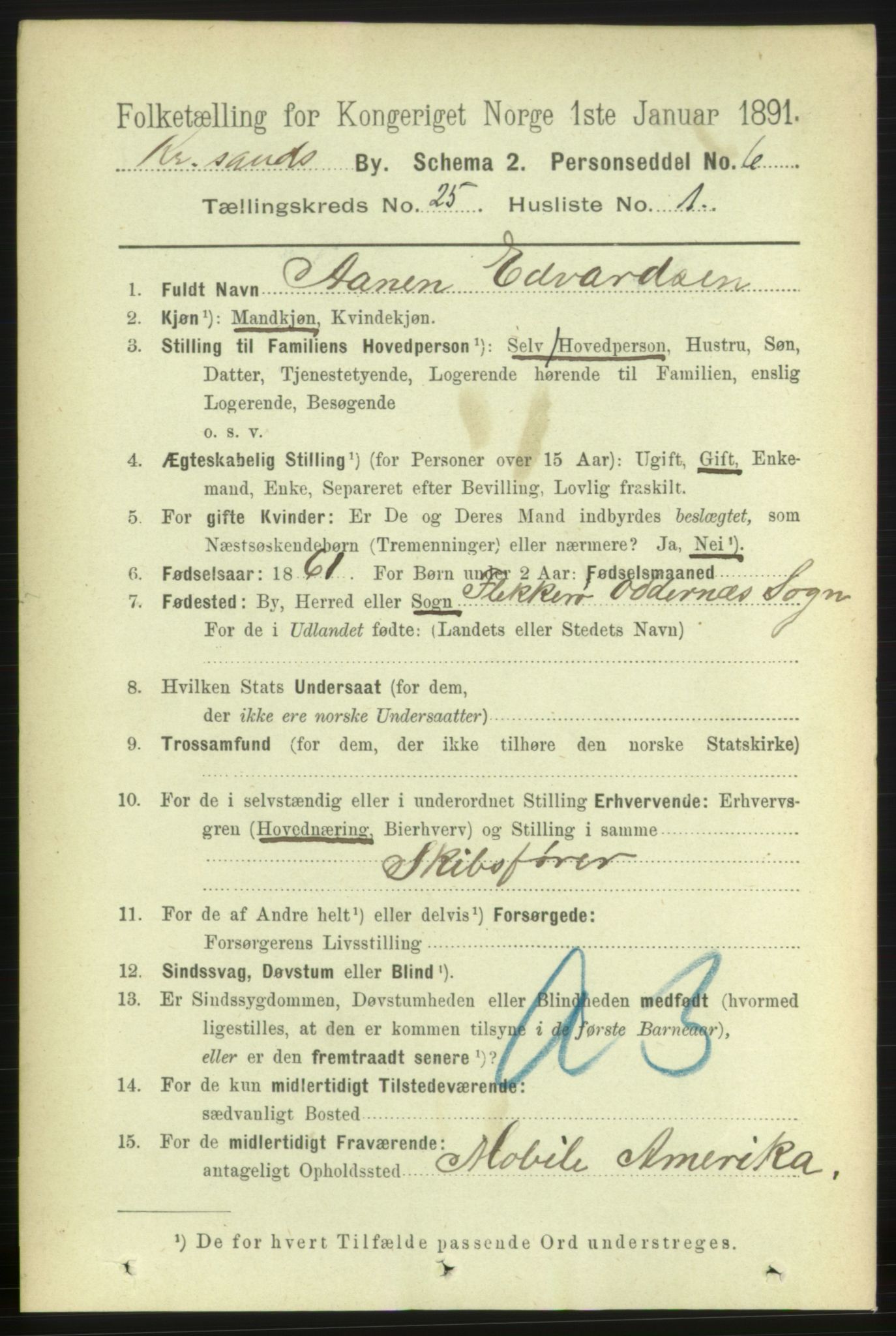 RA, 1891 census for 1001 Kristiansand, 1891, p. 8700