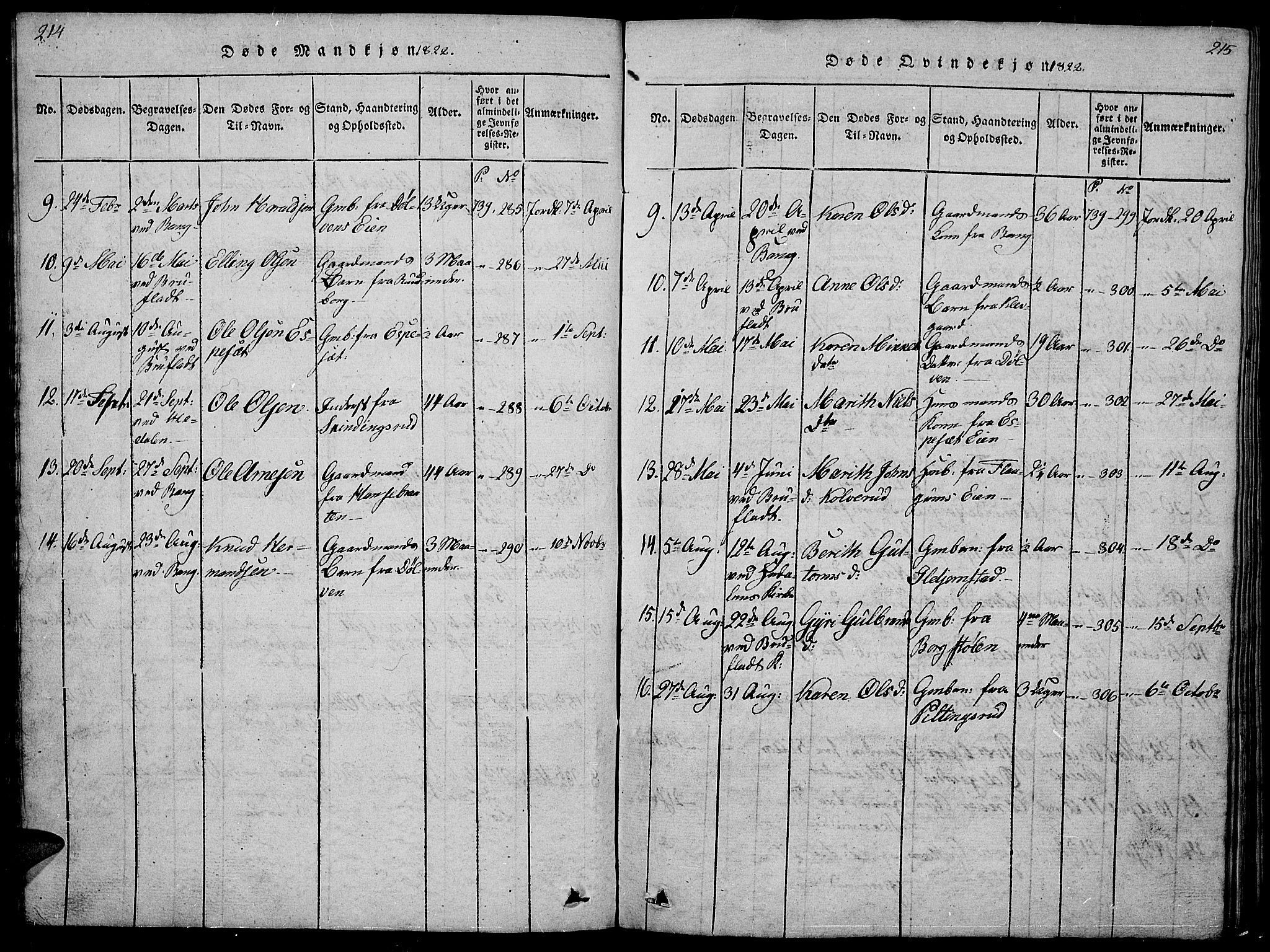 Sør-Aurdal prestekontor, AV/SAH-PREST-128/H/Ha/Hab/L0001: Parish register (copy) no. 1, 1815-1826, p. 214-215