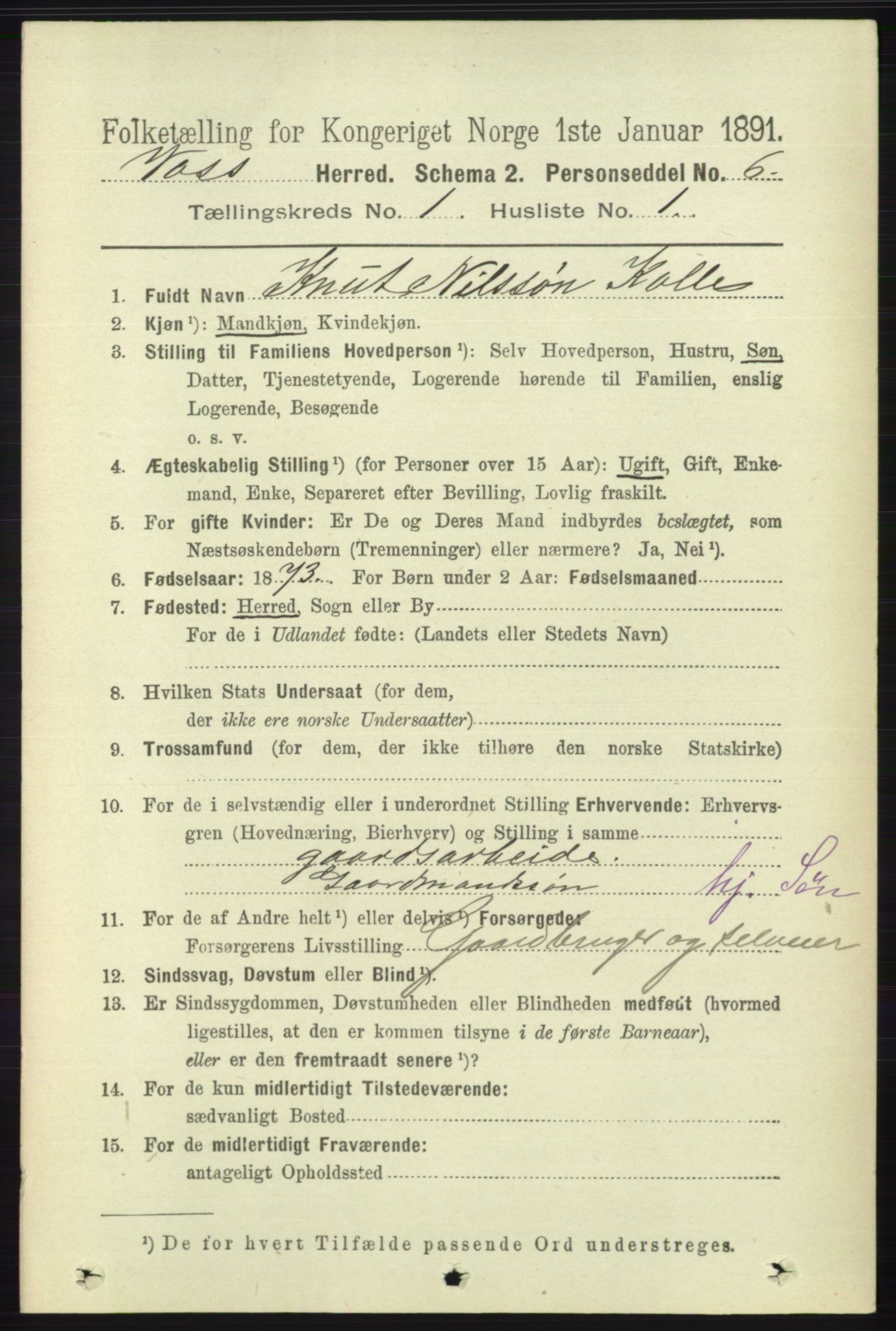 RA, 1891 census for 1235 Voss, 1891, p. 109