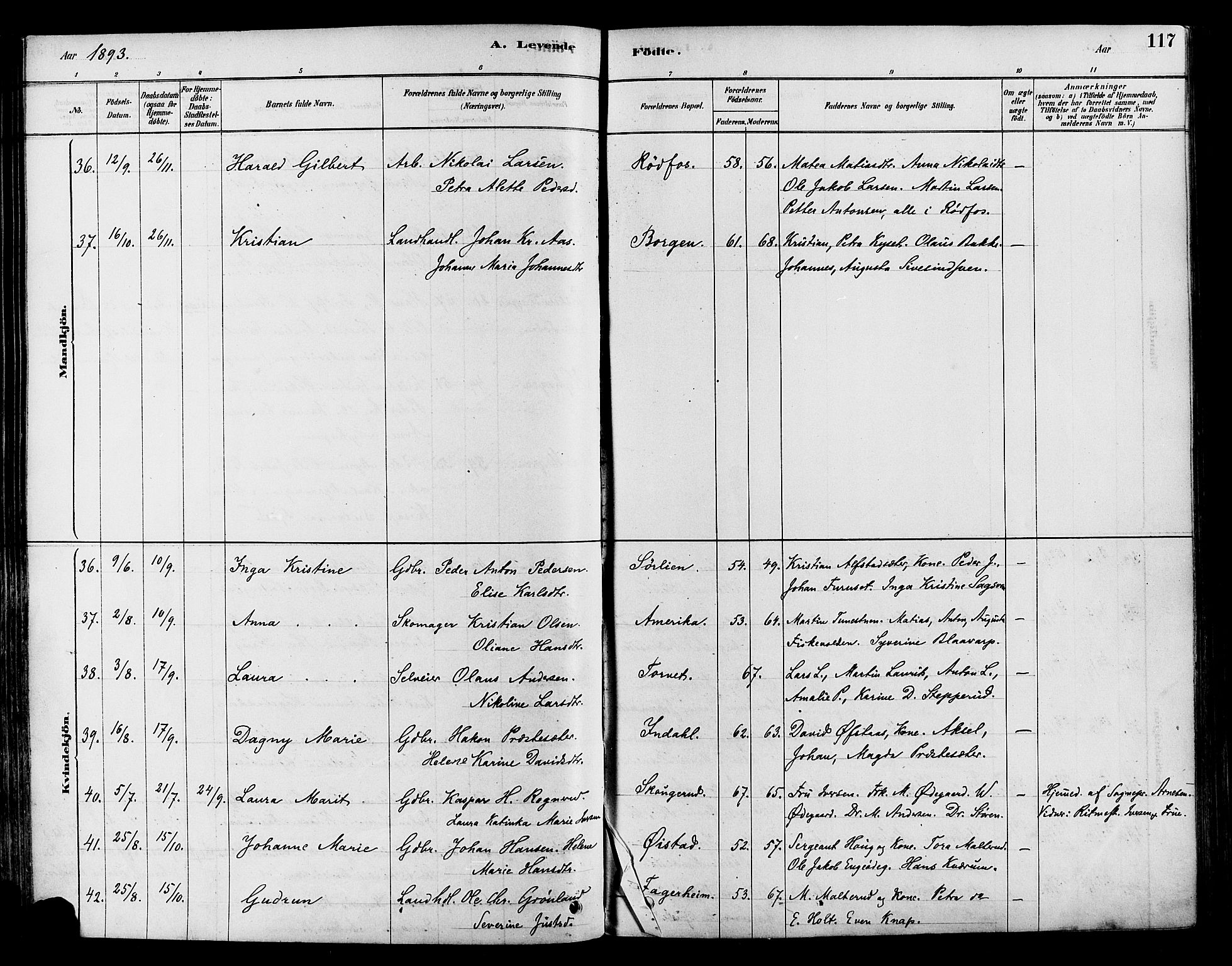 Vestre Toten prestekontor, AV/SAH-PREST-108/H/Ha/Haa/L0009: Parish register (official) no. 9, 1878-1894, p. 117